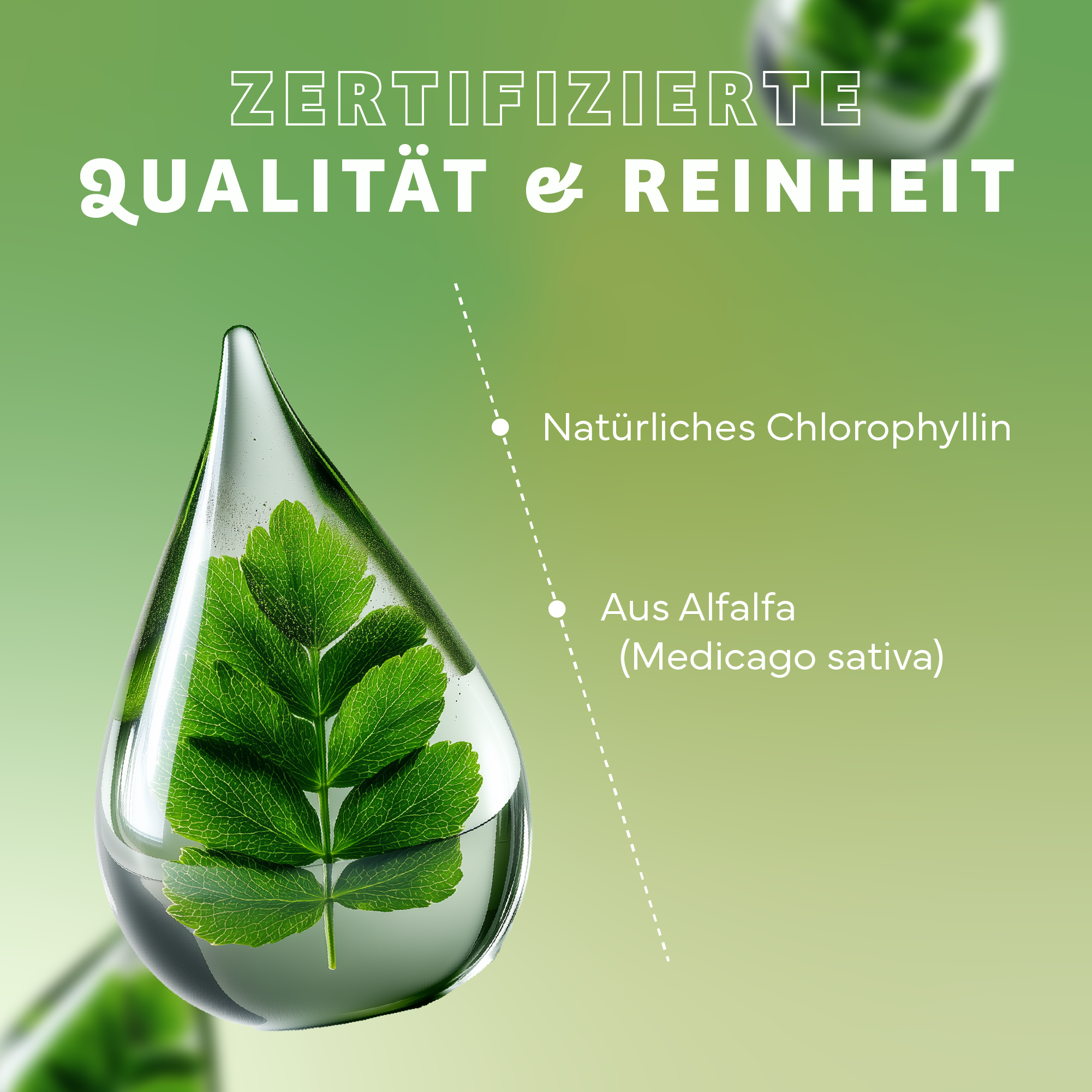 Grün, Blatt, Kräuterig, Kräuter, Werbung, Grün, Blatt, Kräuter, Werbung