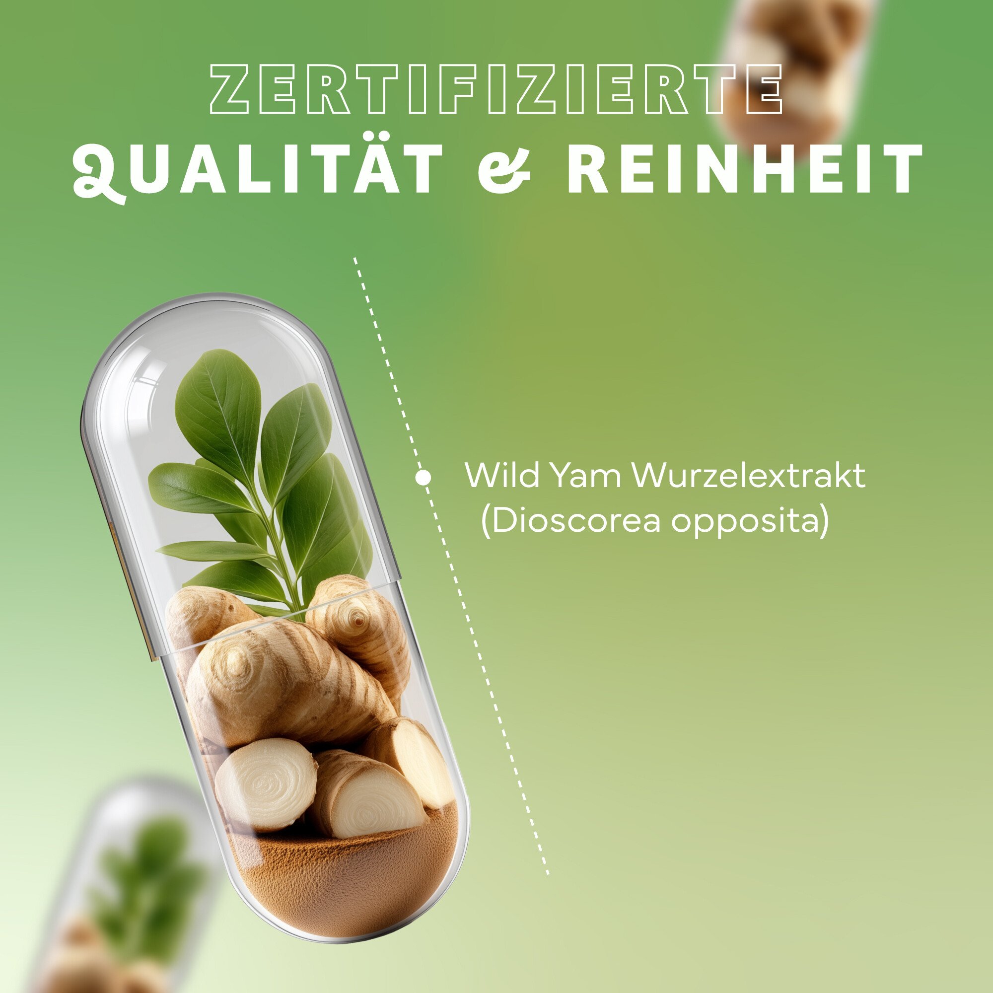 Kräuter, Pflanze, Werbung, Plakat, Kräuterig, Kräuter, Werbung, Plakat, Mittagessen, Kräuterig, Kräuter, Pflanze, Werbung, Plakat