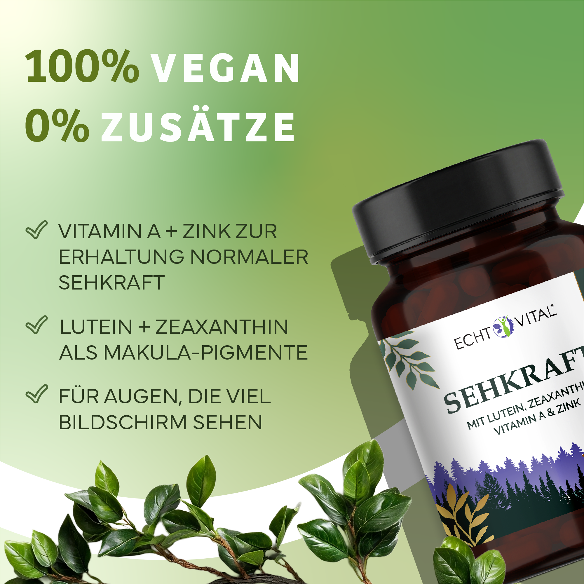 Kräuterig, Kräuter, Pflanze, Werbung, Astragalus
