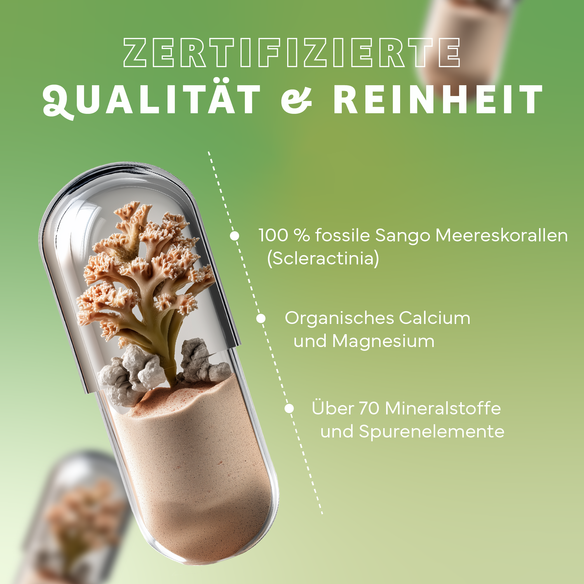Werbung, Sahne, Nachtisch, Essen, Eiscreme, Sahne, Nachtisch, Essen, Eiscreme, Werbung, Sahne, Nachtisch, Essen, Eiscreme, Werbung