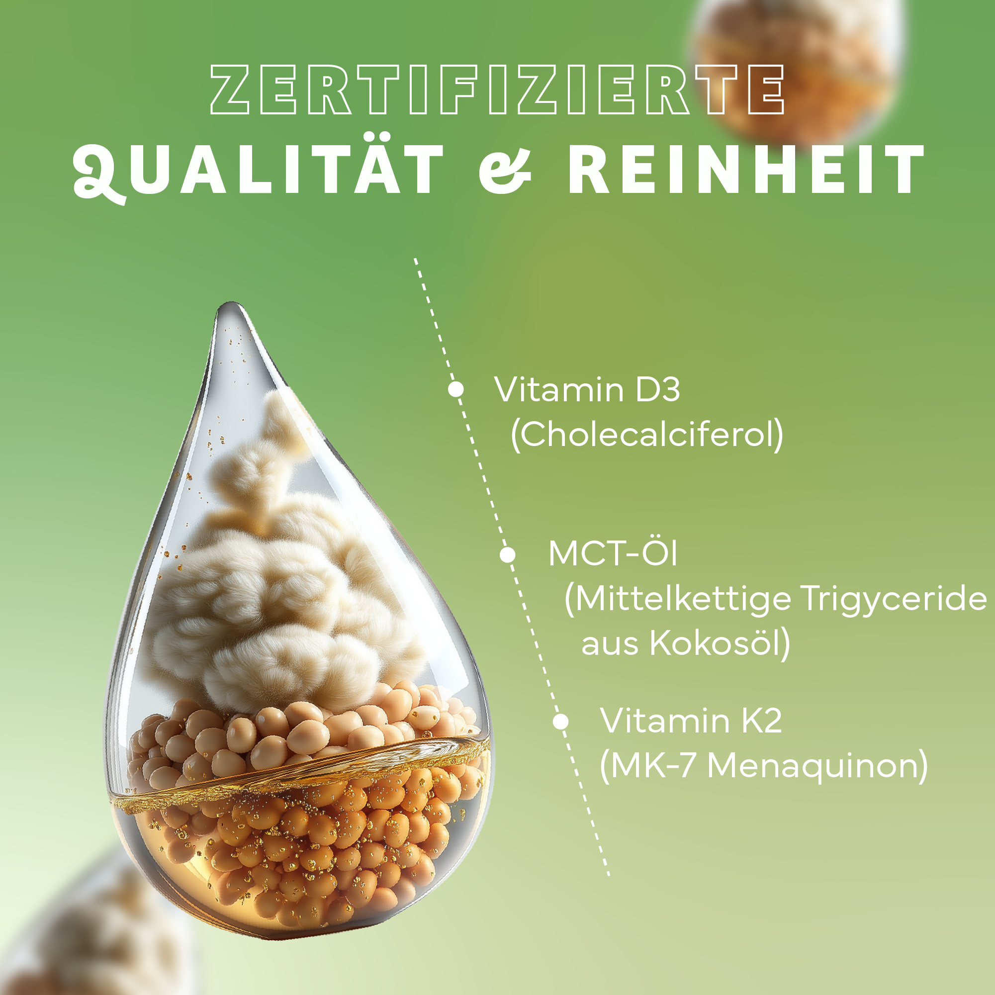 Essen, Produzieren, Bohne, Pflanze, Gemüse, Essen, Produzieren, Bohne, Pflanze, Gemüse