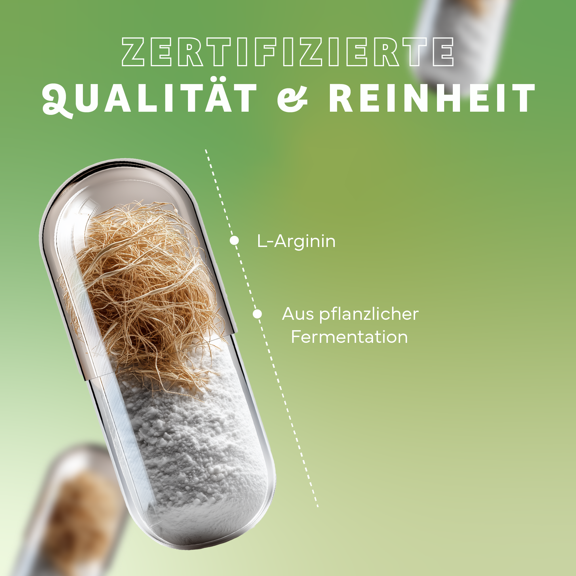 Nudel, Pasta, Fadennudeln, Kräuter, Werbung, Nudel, Pasta, Fadennudeln, Kräuter, Werbung, Nudel, Pasta, Fadennudeln, Kräuter, Werbung