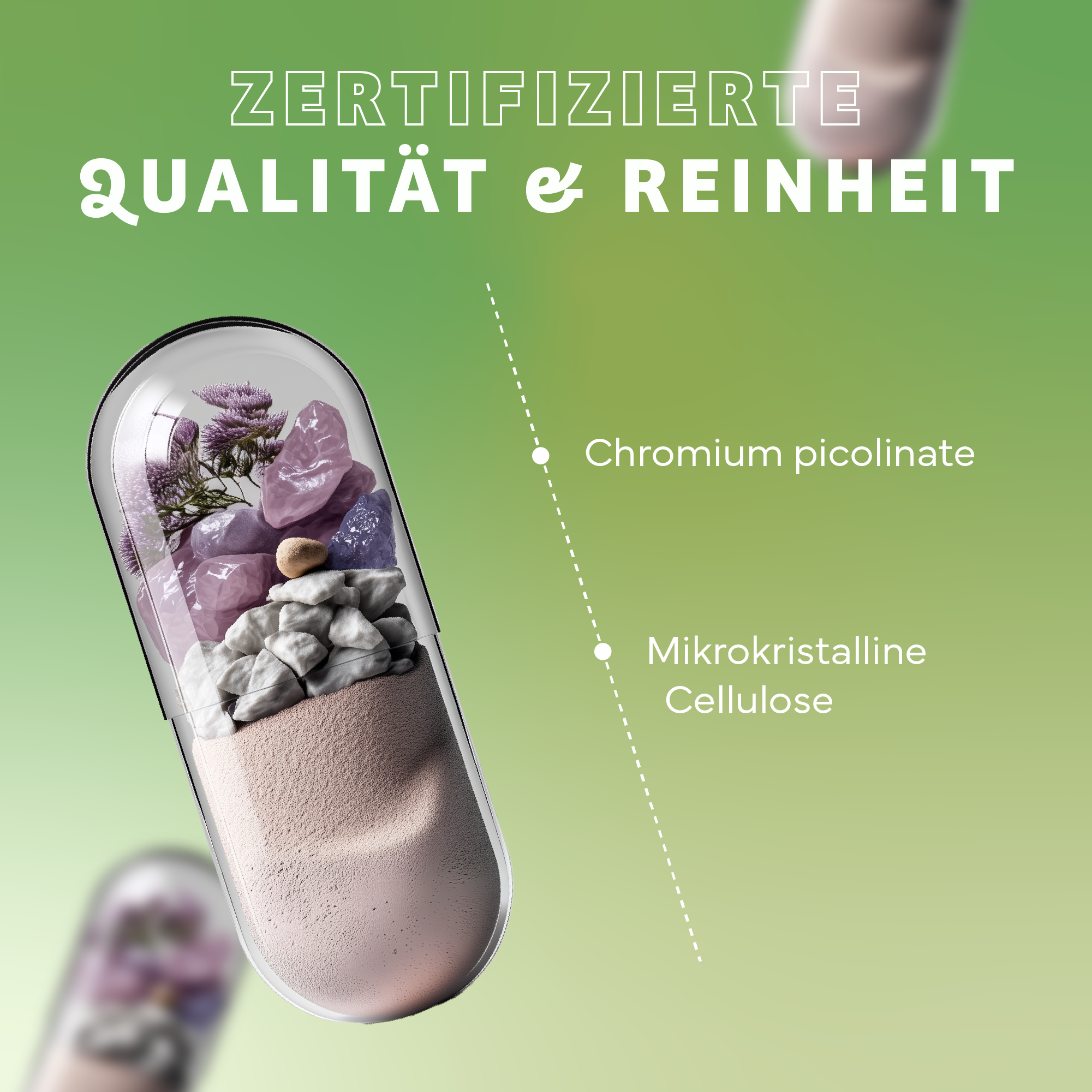 Werbung, Plakat, Werbung, Plakat, Kräuter, Pflanze