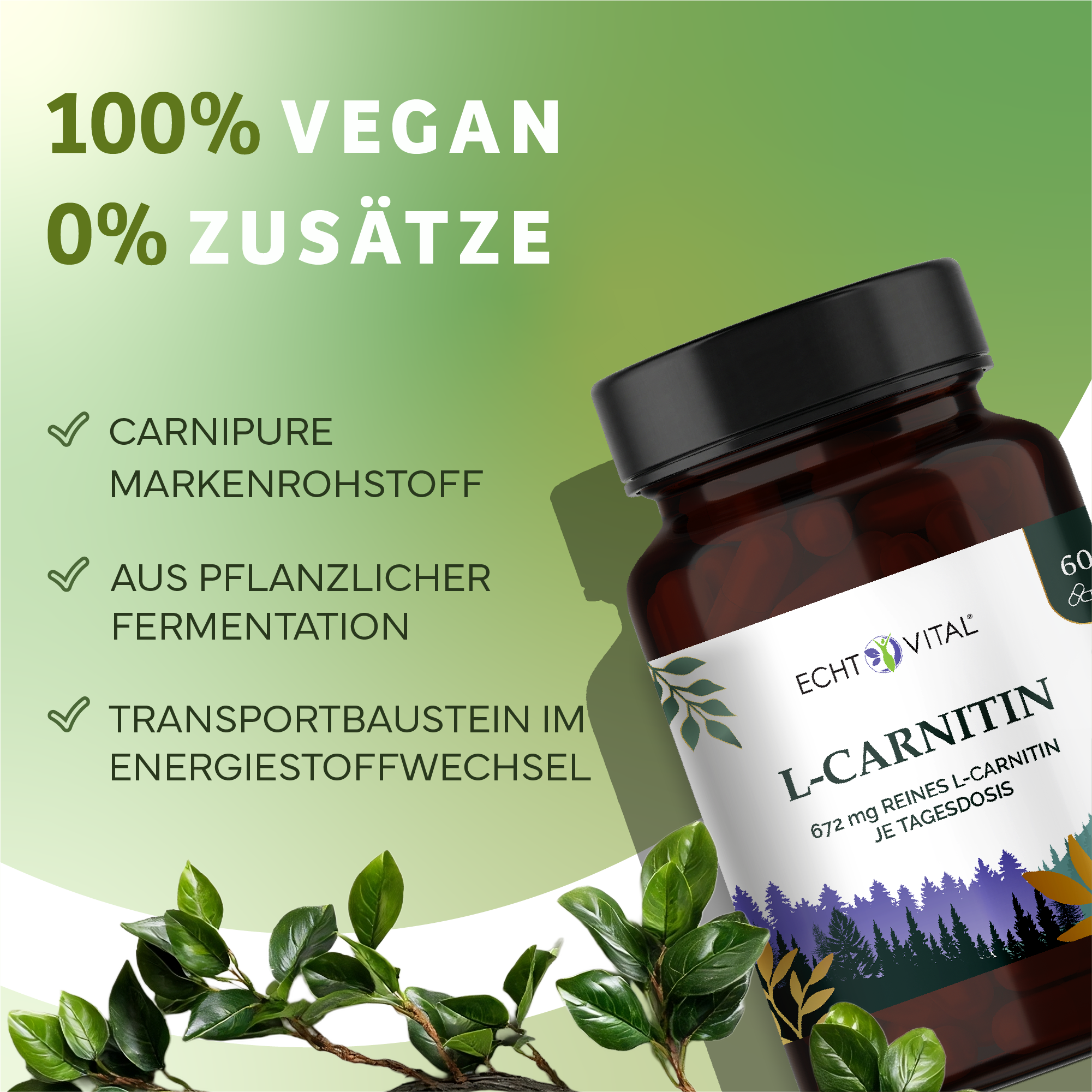Kräuterig, Kräuter, Pflanze, Astragalus, Werbung