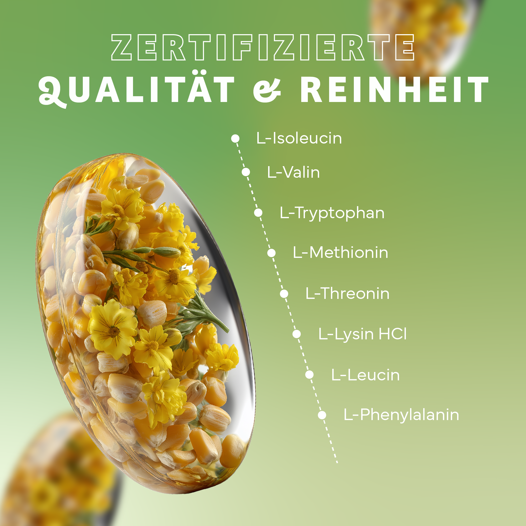Werbung, Plakat, Teller, Werbung, Plakat, Teller, Werbung, Plakat, Teller, Werbung, Plakat, Teller