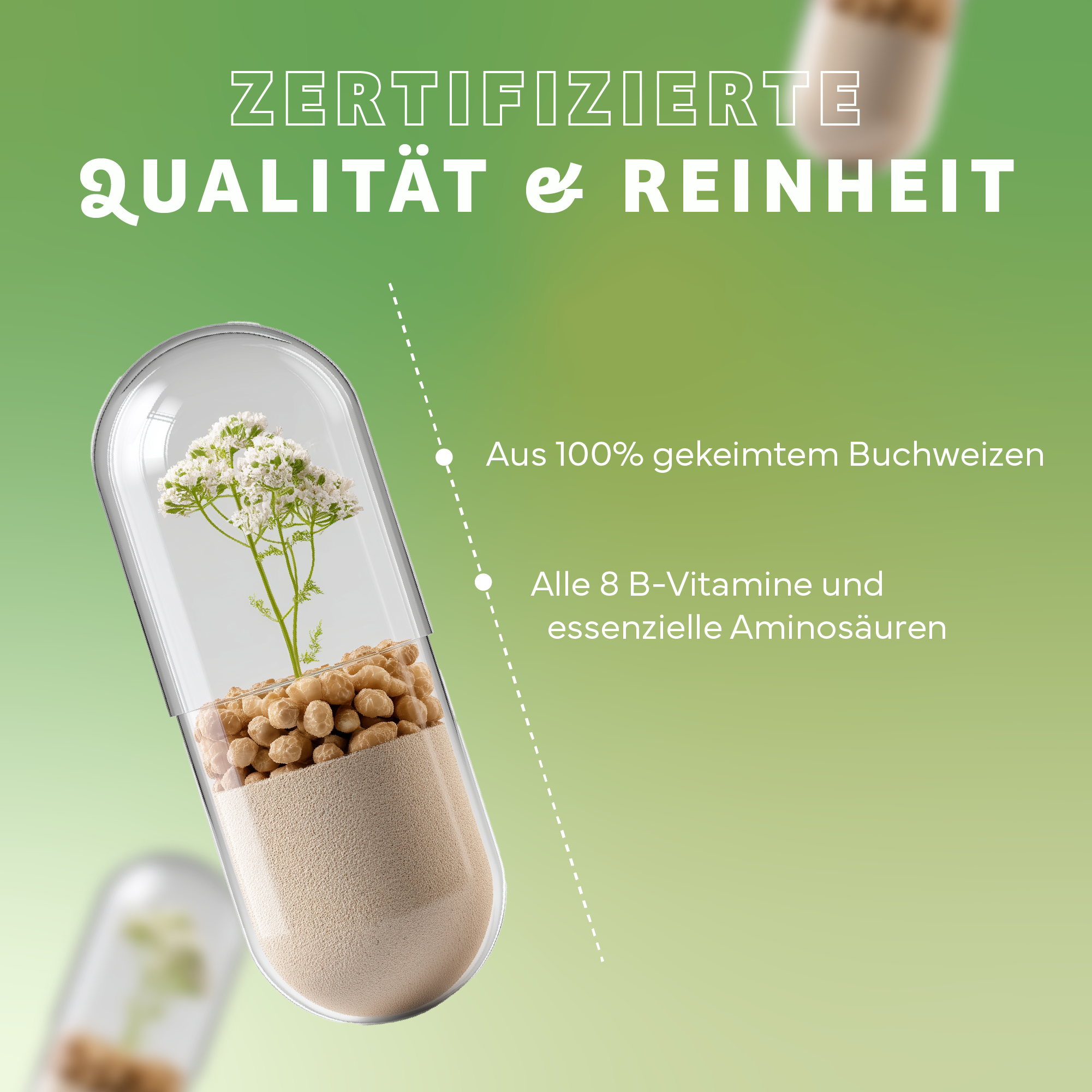 Kräuterig, Kräuter, Pflanze, Werbung, Kräuterig, Kräuter, Pflanze, Werbung, Kräuterig, Kräuter, Pflanze, Werbung