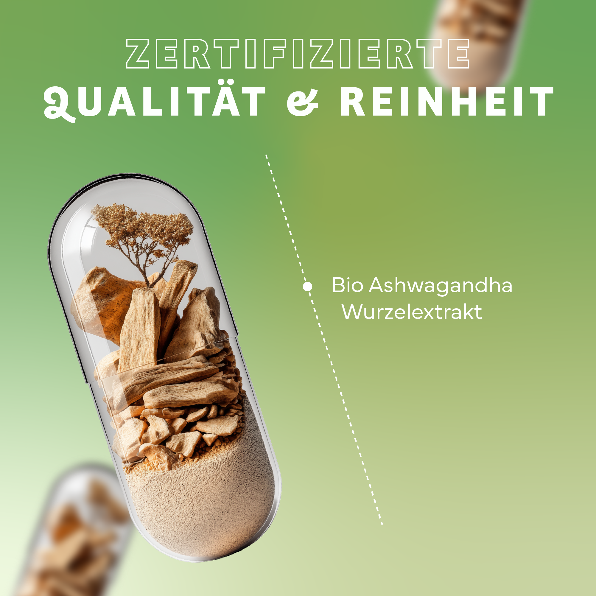 Kräuter, Pflanze, Werbung, Eiscreme, Plakat, Kräuterig, Pflanze, Werbung, Eiscreme, Plakat