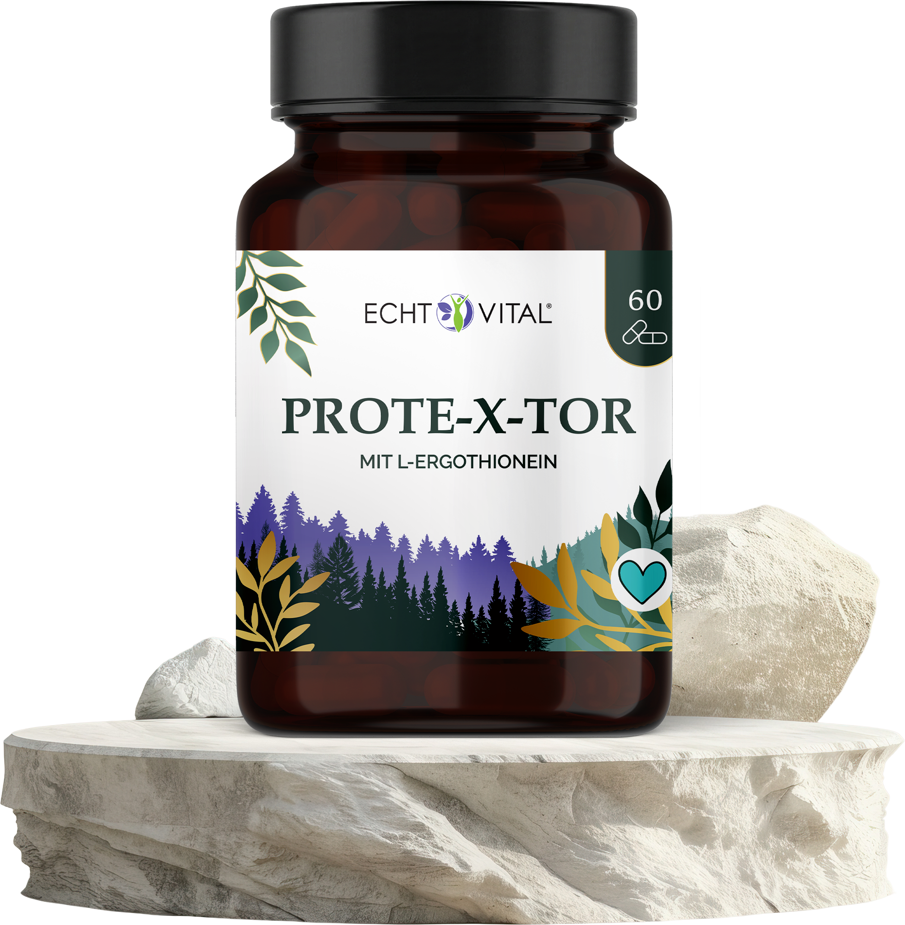 Kräuter, Pflanze, Astragalus, Blume, Kräuterig, Kräuter, Astragalus, Blume, Ketchup