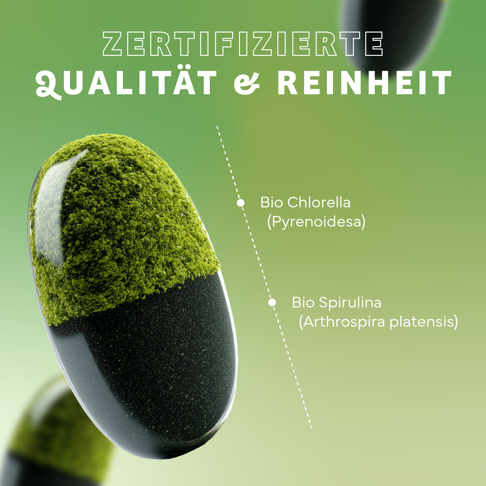 Werbung, Moos, Pflanze, Werbung, Moos, Pflanze, Werbung, Moos, Pflanze