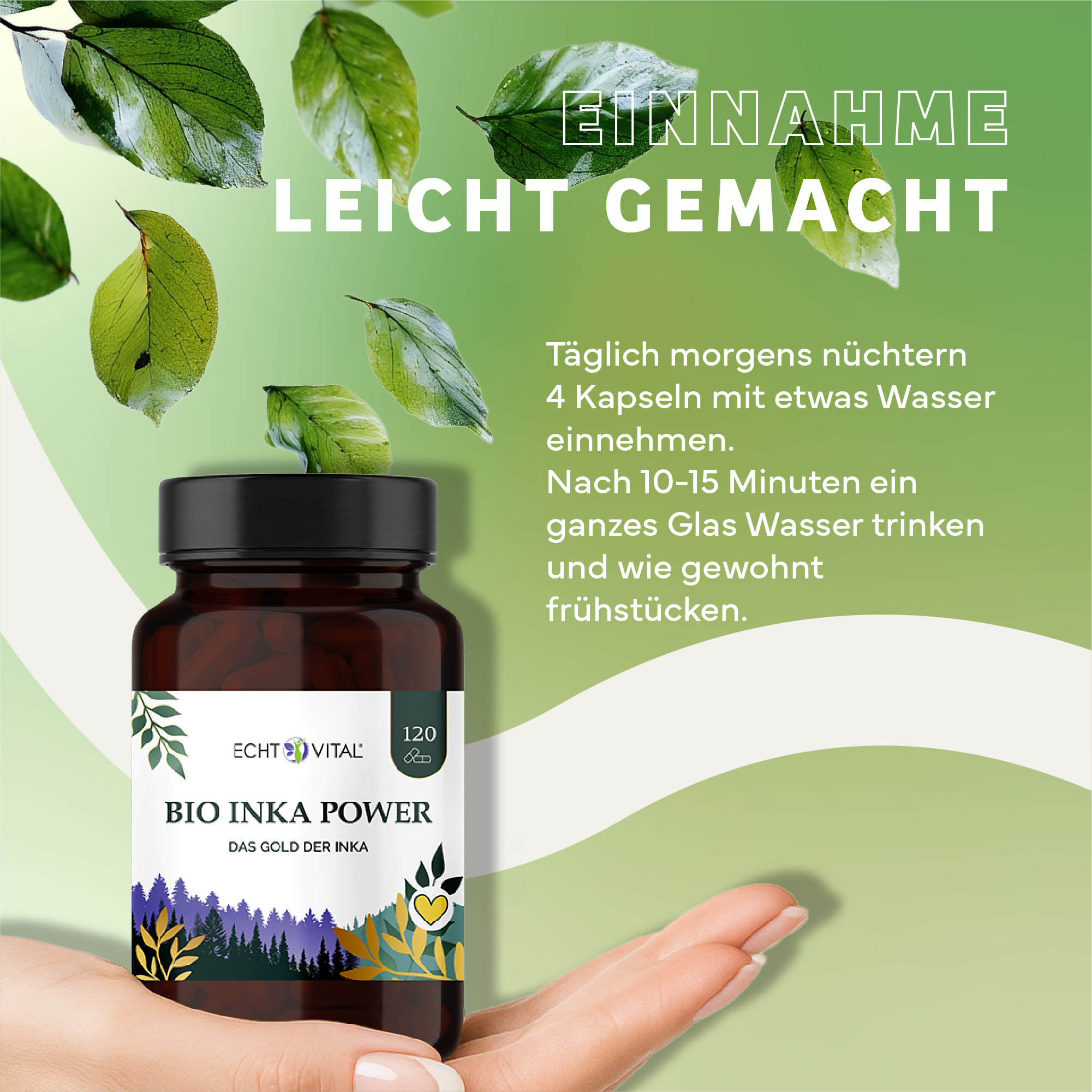 Kräuter, Werbung, Sirup, Plakat, Kräuterig, Kräuter, Werbung, Blatt, Plakat