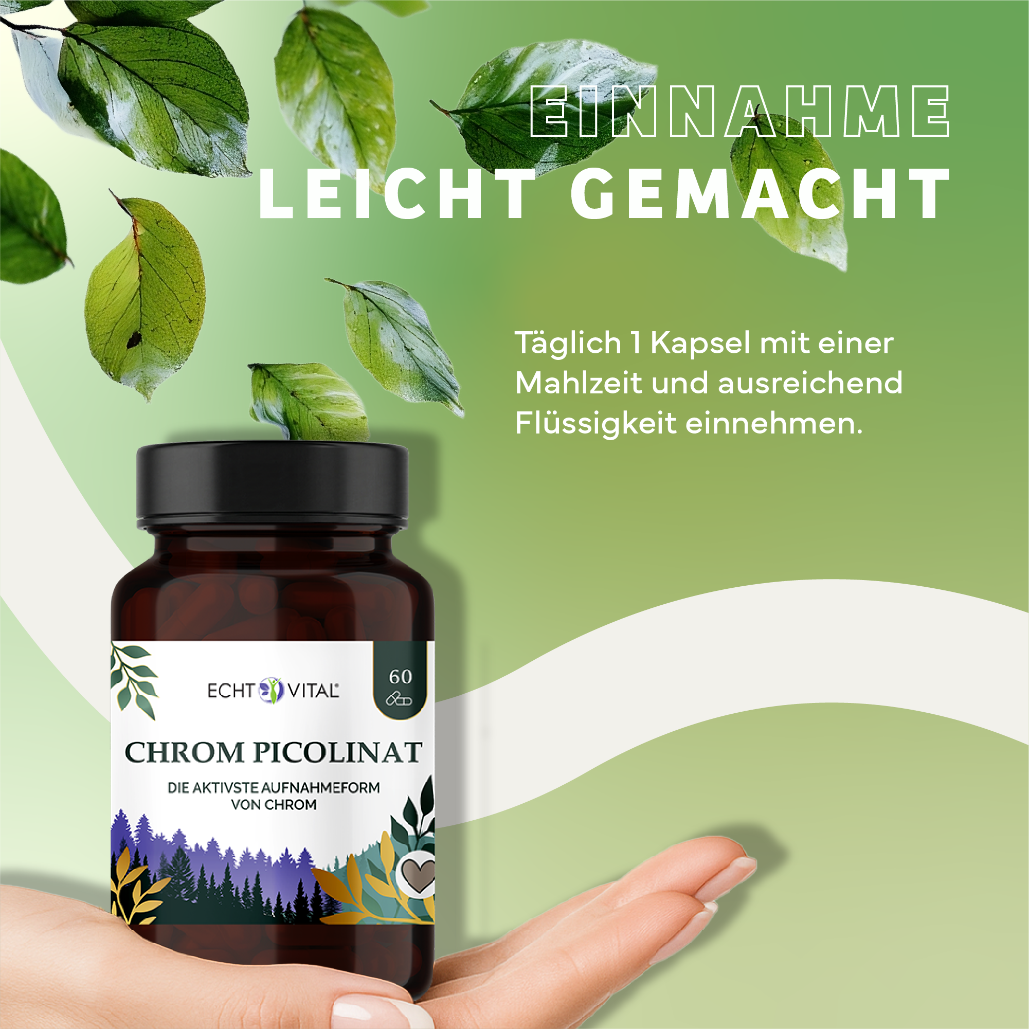 Kräuterig, Kräuter, Werbung, Sirup, Plakat, Kräuterig, Kräuter, Werbung, Plakat, Blatt, Kräuter, Werbung, Plakat, Blatt, Kräuter, Werbung, Plakat, Blatt, Kräuterig, Kräuter, Werbung, Astragalus, Blatt