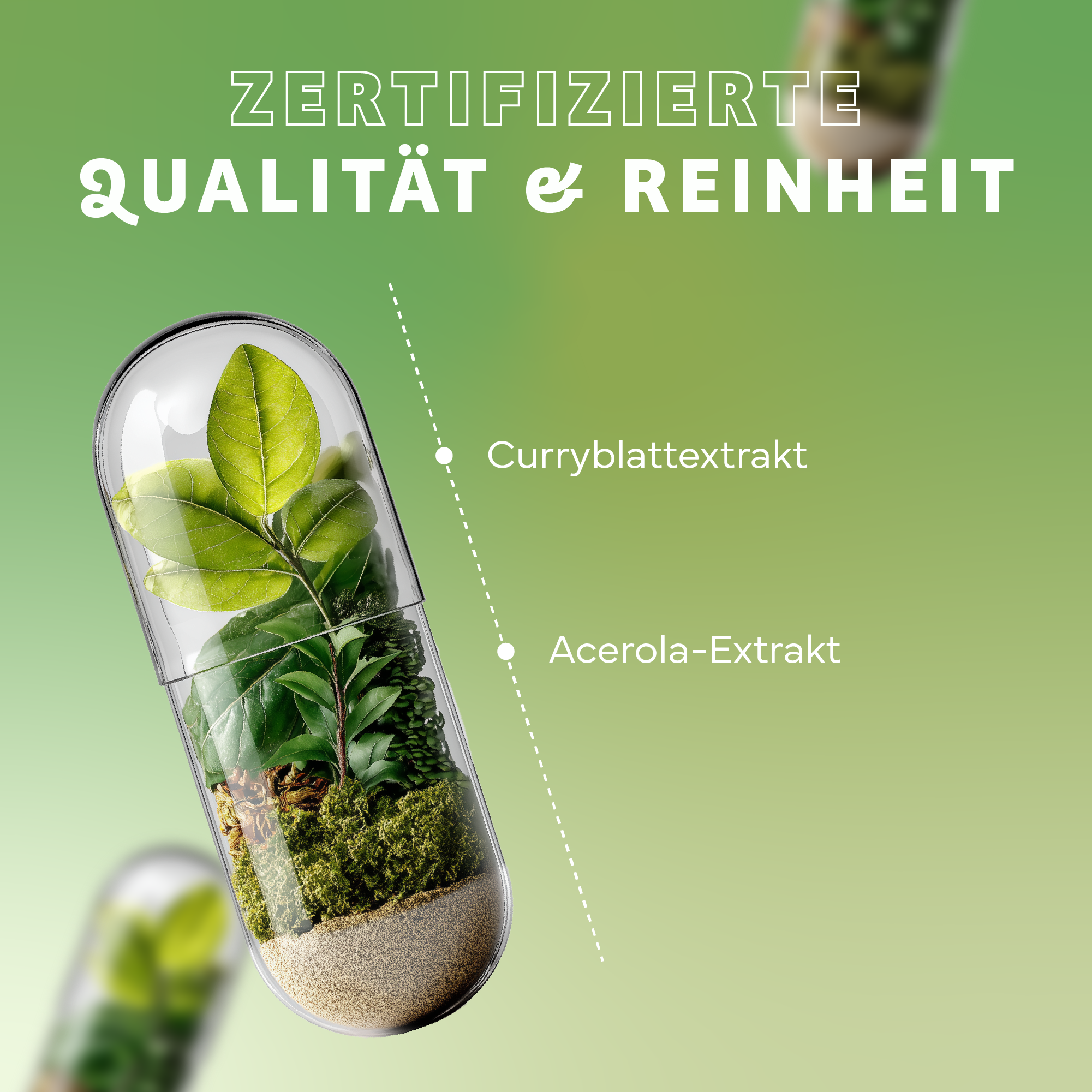 Kräuter, Pflanze, Werbung, Plakat, Kräuterig, Kräuter, Pflanze, Werbung