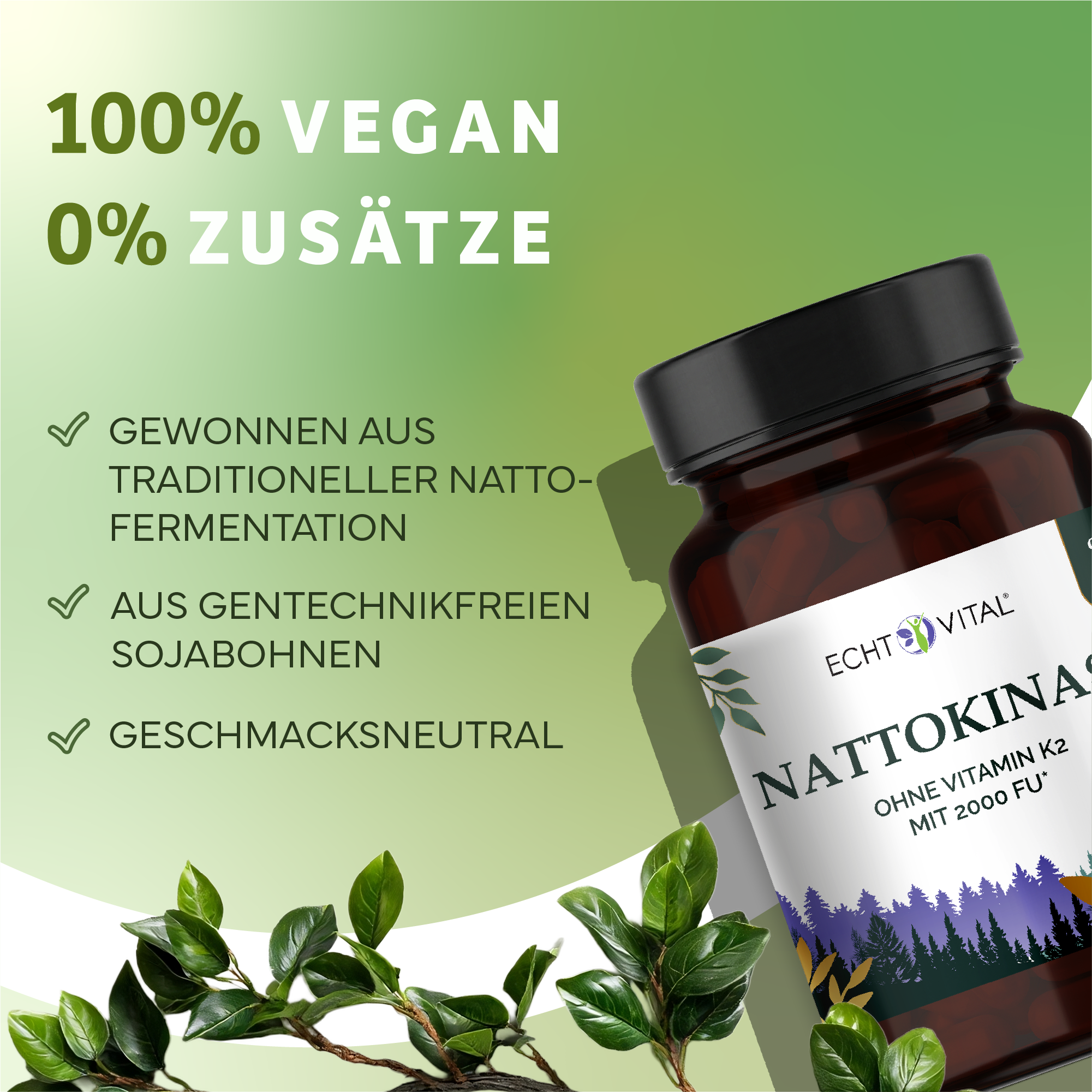 Kräuterig, Kräuter, Pflanze, Werbung, Astragalus