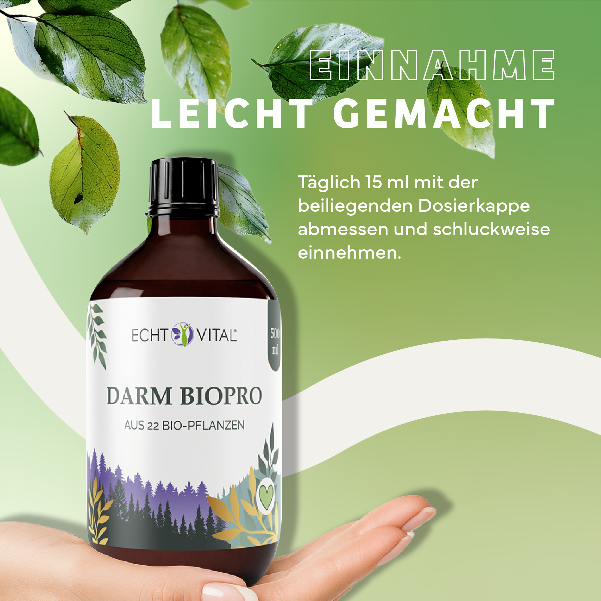 Kräuter, Werbung, Sirup, Plakat, Darmöl, Bioprö, Bio-Pflanzen, Vitalprodukt, Fläschchen