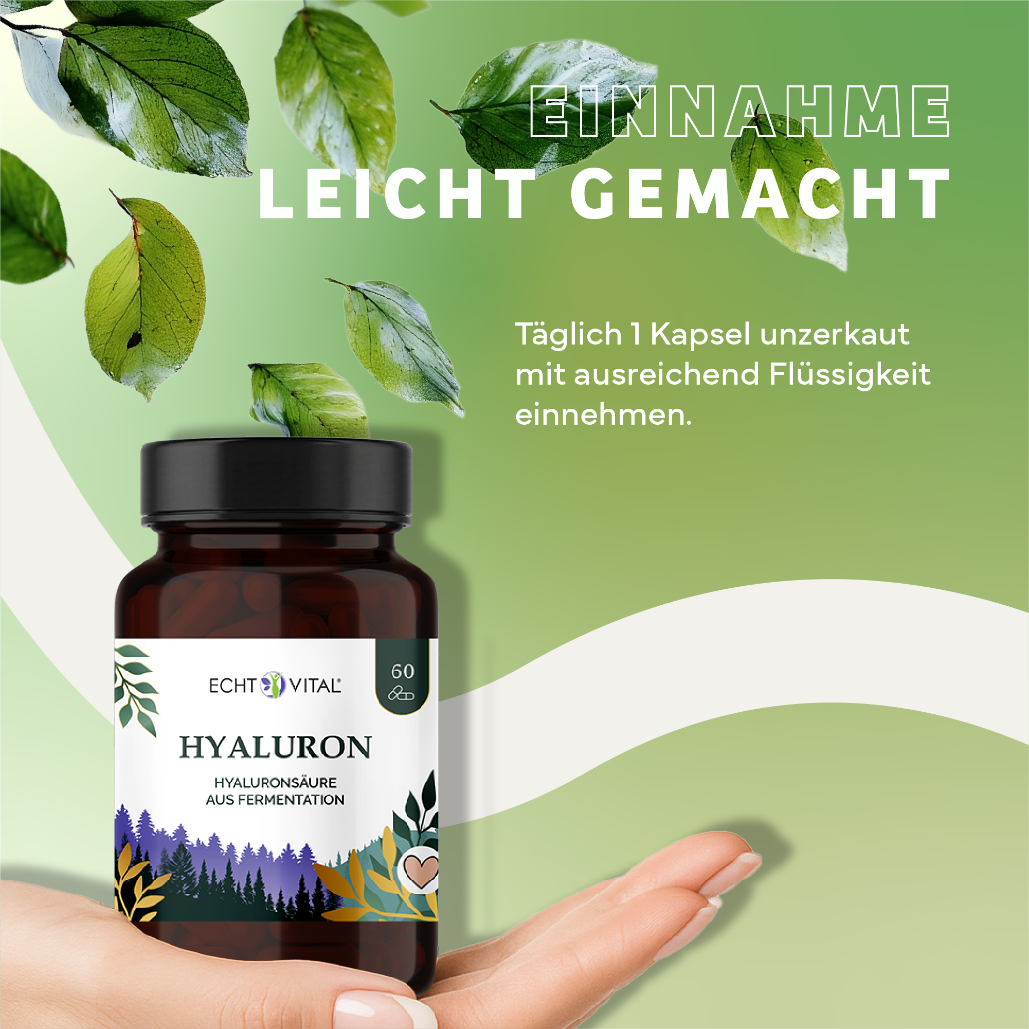 Kräuter, Werbung, Sirup, Blatt, Kräuterig, Kräuter, Pflanze, Werbung, Astragalus