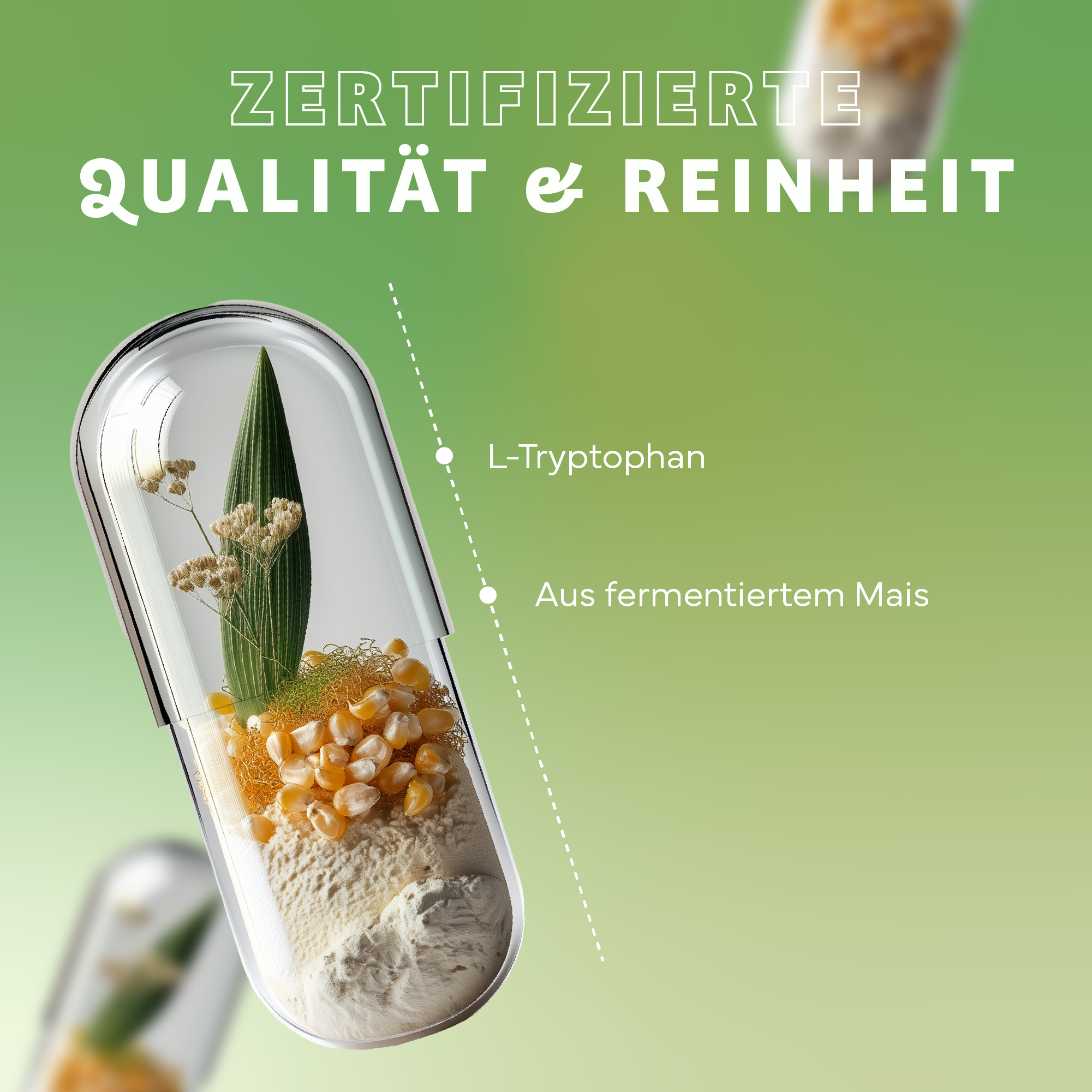 Werbung, Kräuterig, Kräuter, Pflanze, Plakat, Werbung, Kräuterig, Kräuter, Pflanze, Plakat, Kräuterig, Kräuter, Pflanze, Werbung