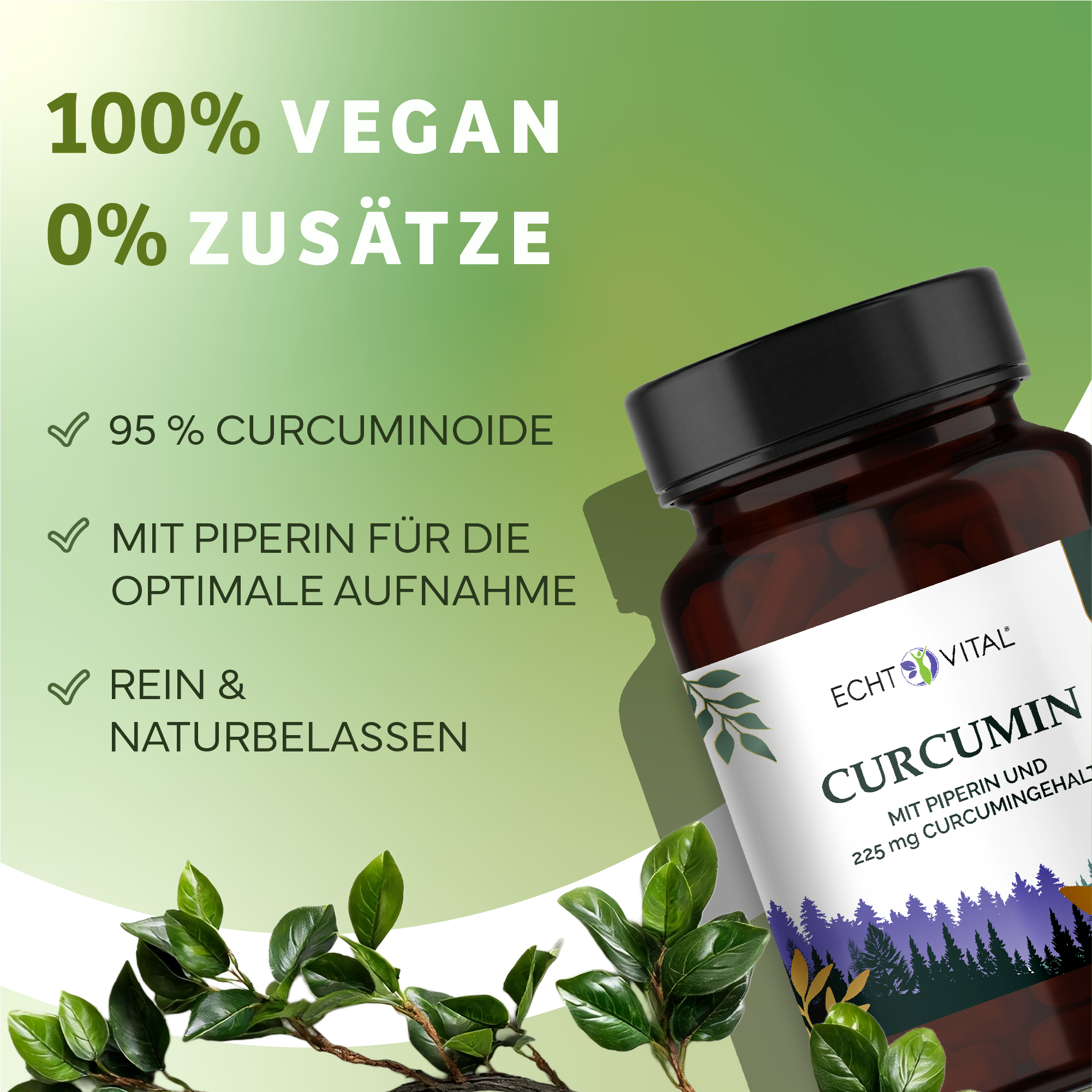 Kräuter, Pflanze, Werbung, Astragalus, Kräuterig, Kräuter, Pflanze, Astragalus, Blume