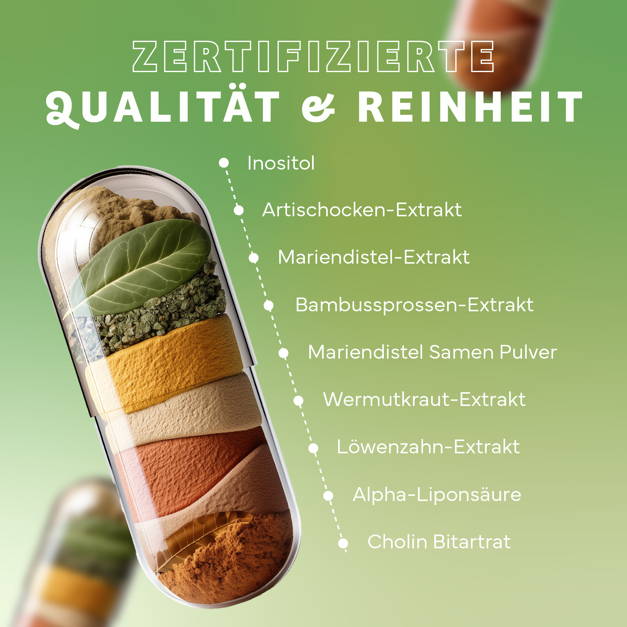 Werbung, Plakat, Kräuter, Pflanze, Eiscreme, Werbung, Kräuterig, Pflanze, Plakat, Eiscreme, Werbung, Plakat, Kräuter, Pflanze, Eiscreme