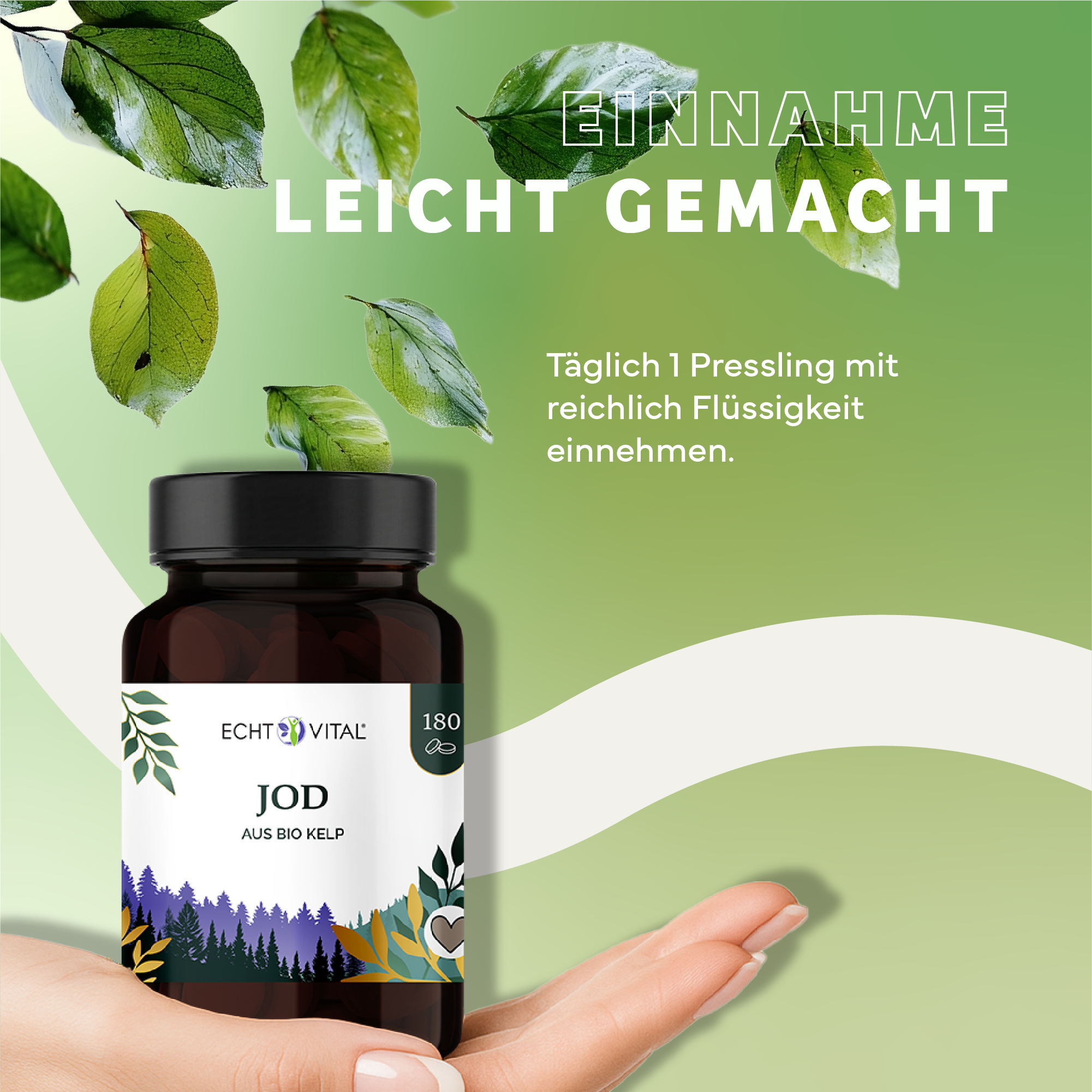 Kräuter, Werbung, Blatt, Plakat, Kräuterig, Kräuter, Pflanze, Werbung, Astragalus