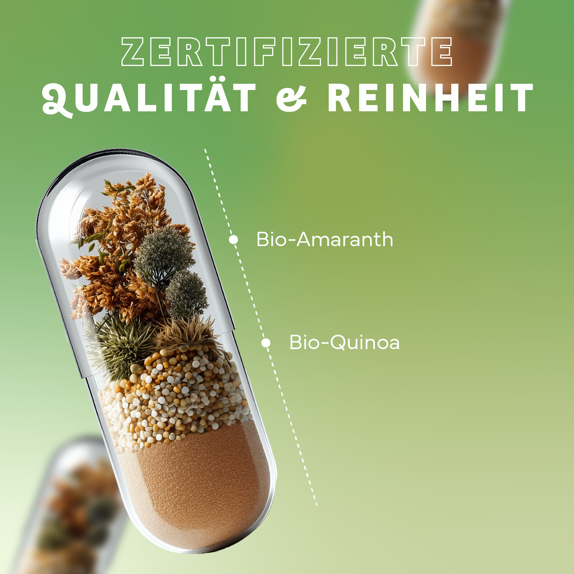 Kräuter, Pflanze, Kräuter, Pflanze, Kräuterig, Kräuter, Pflanze