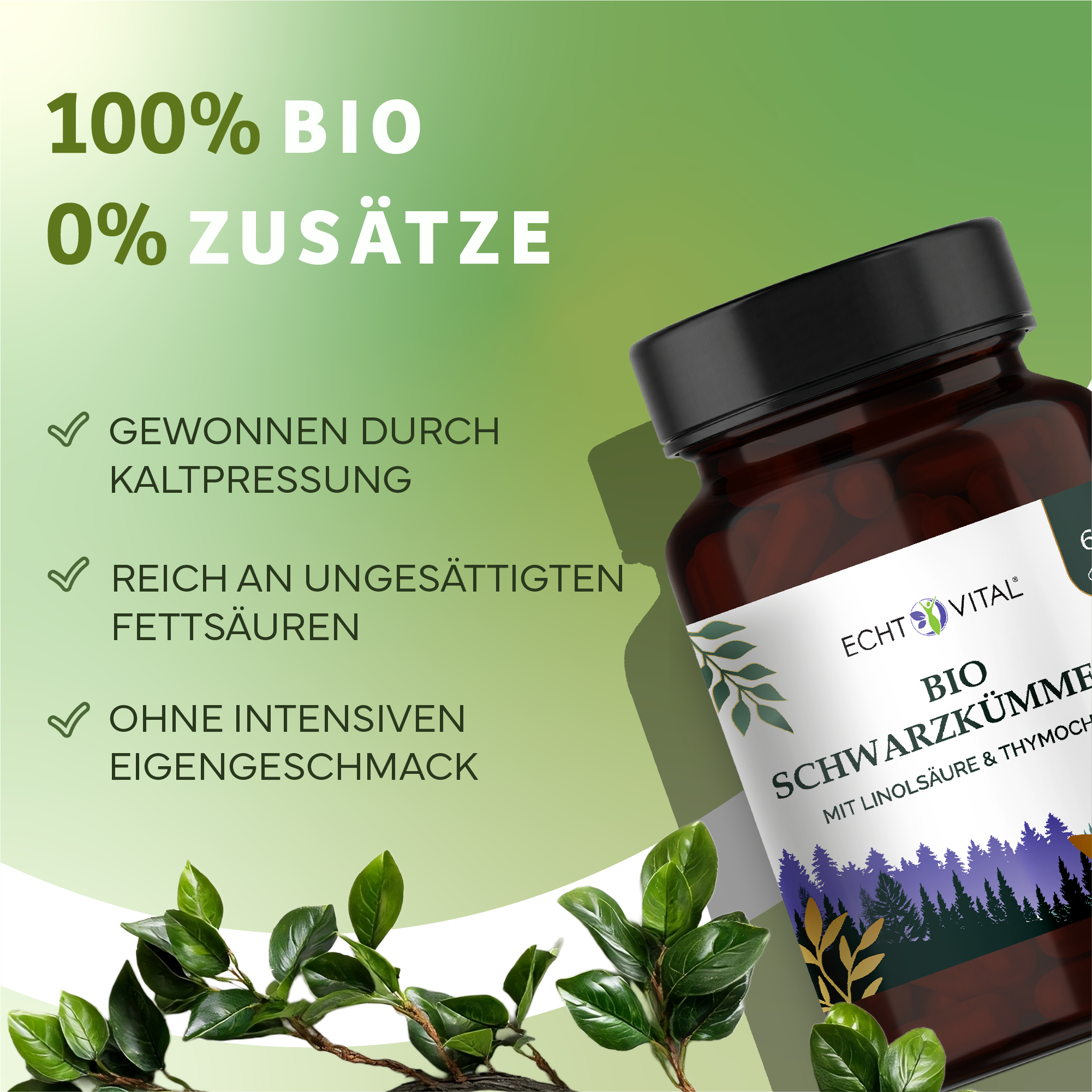 Kräuterig, Kräuter, Pflanze, Astragalus, Werbung