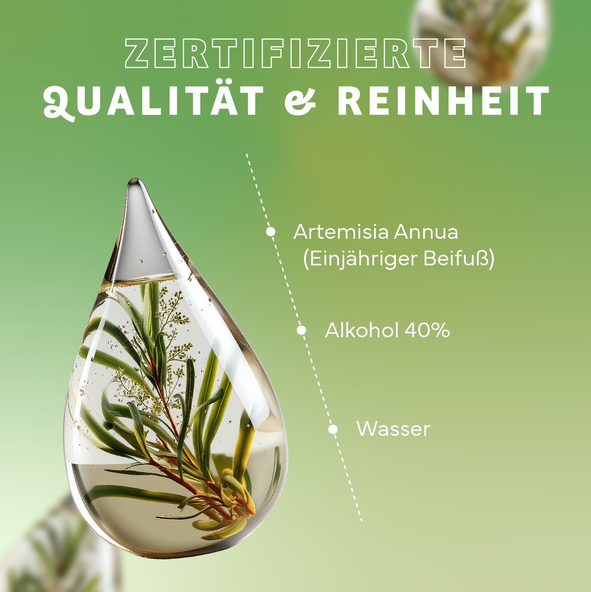 Kräuter, Pflanze, Werbung, Tröpfchen, Plakat, Kräuterig, Kräuter, Werbung, Tröpfchen, Plakat