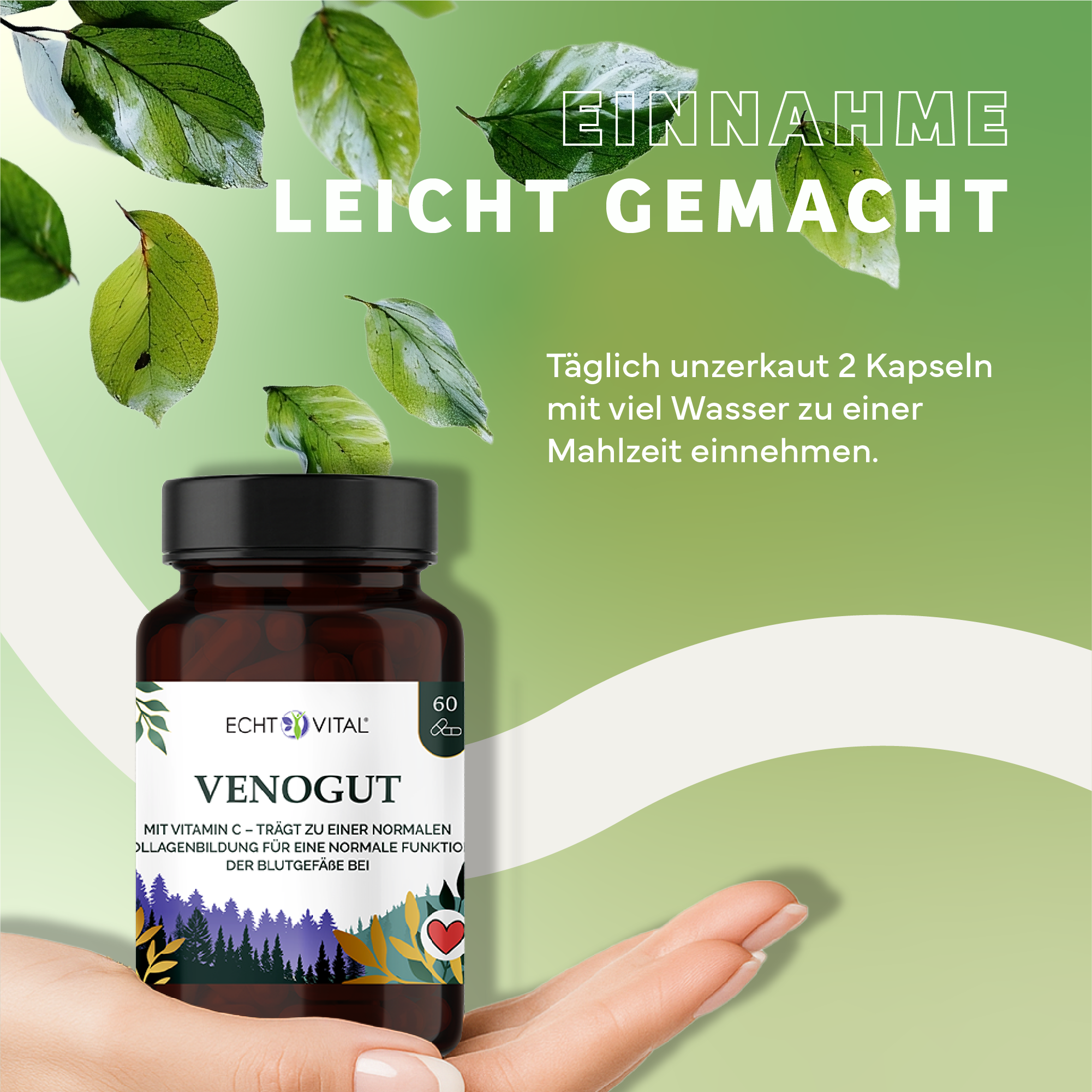 Kräuter, Werbung, Plakat, Astragalus, Kräuterig, Kräuter, Werbung, Plakat, Astragalus