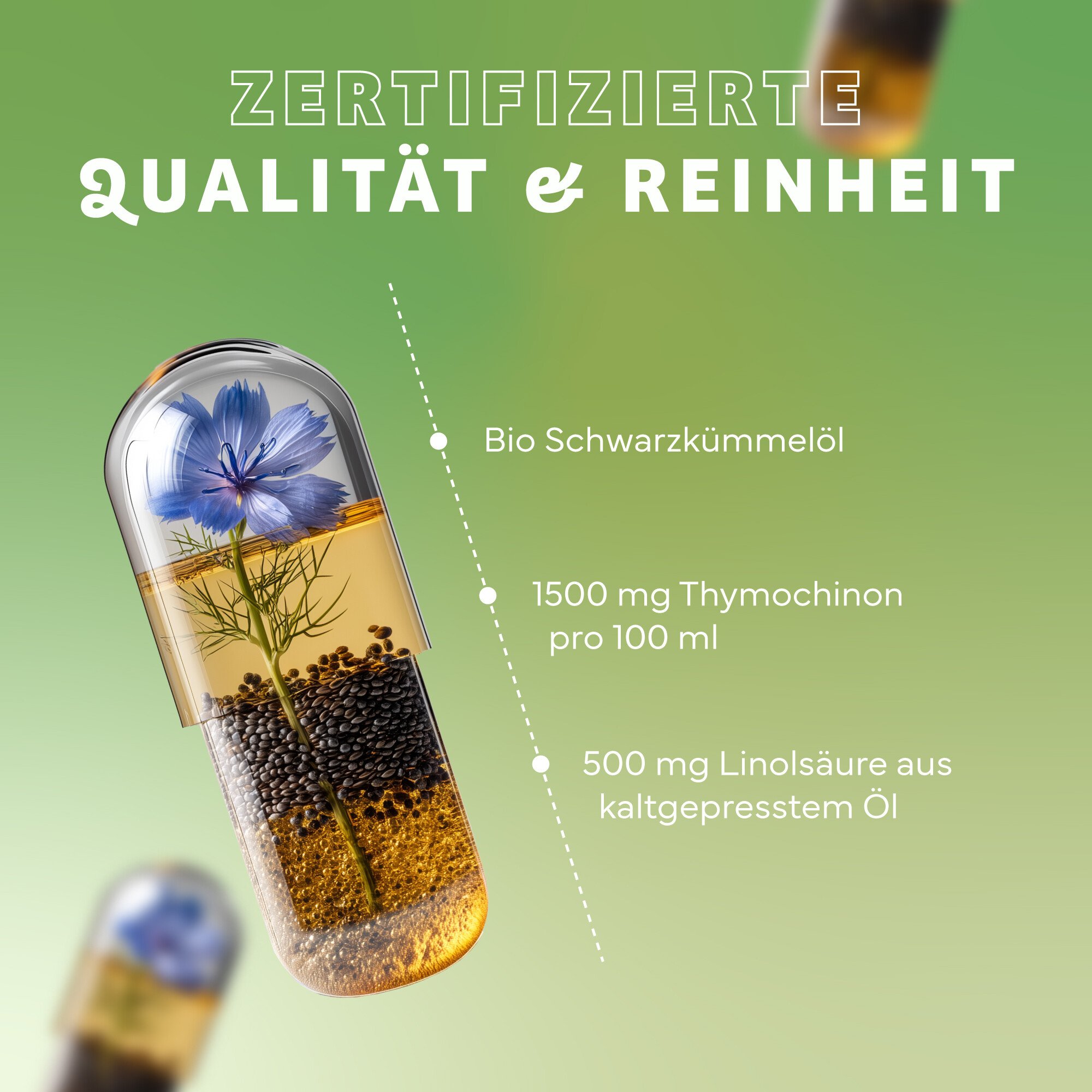 Kräuterig, Kräuter, Pflanze, Kräuterig, Kräuter, Pflanze, Kosmetik, Parfüm