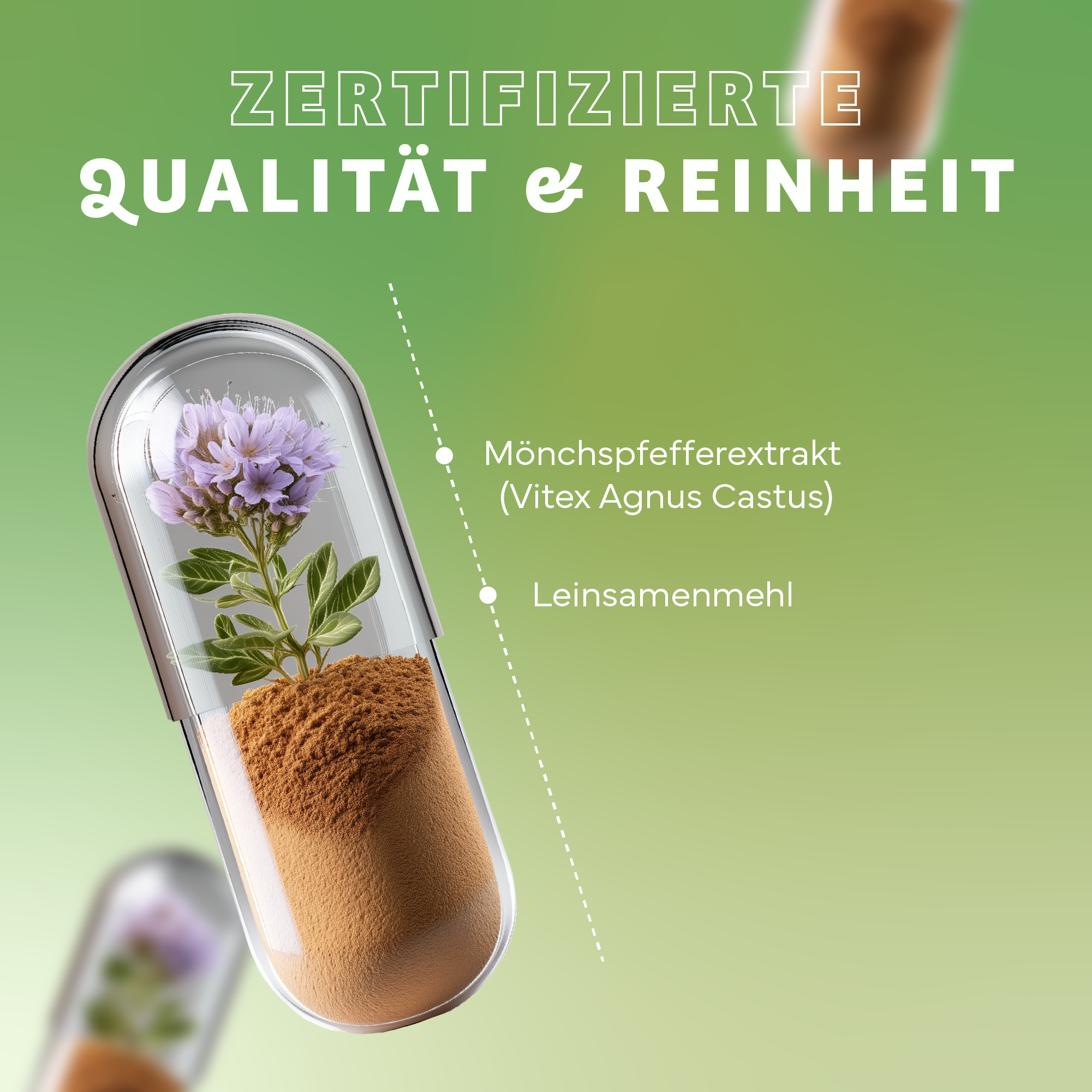 Kräuterig, Kräuter, Pflanze, Werbung, Plakat, Kräuterig, Kräuter, Pflanze, Werbung