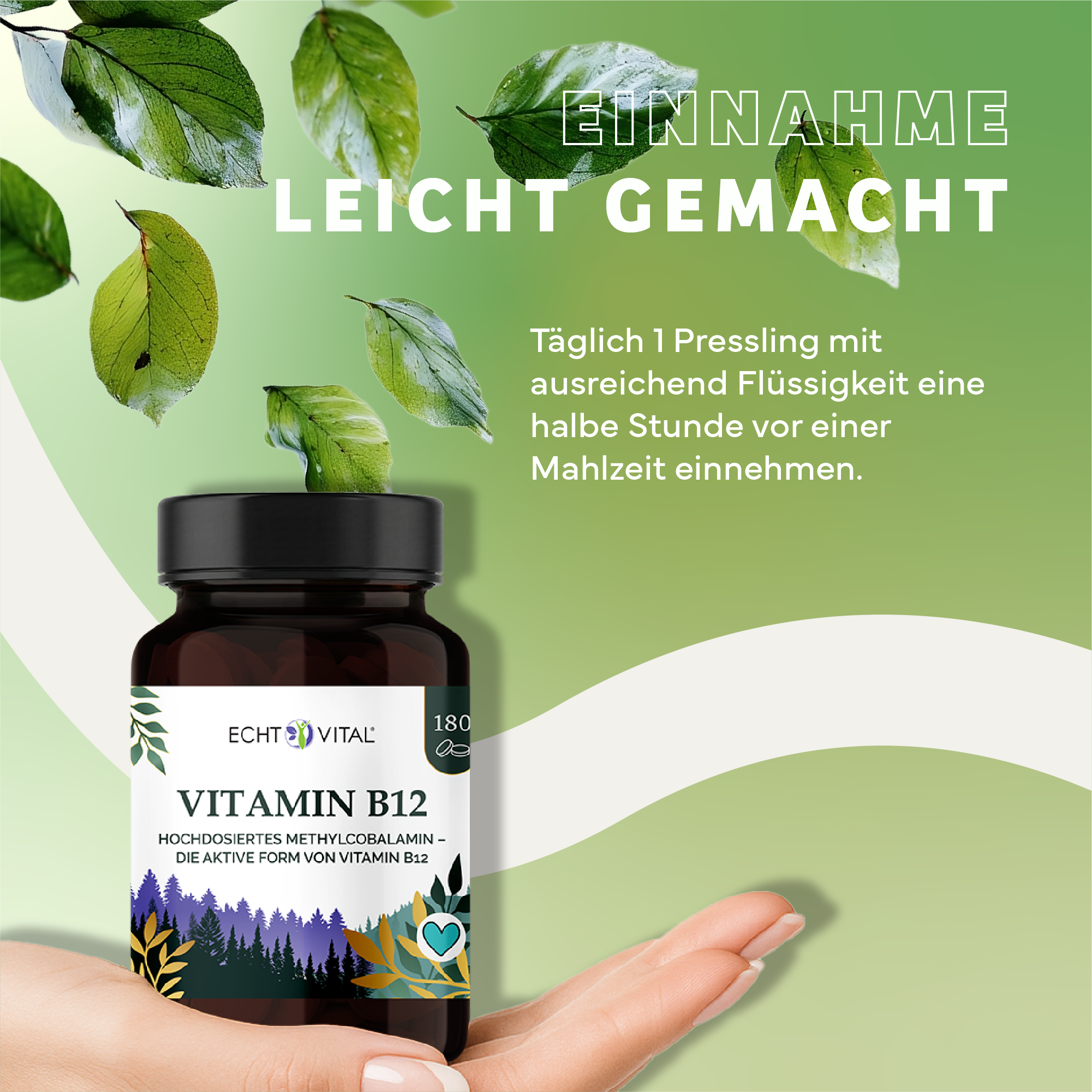 Kräuterig, Kräuter, Werbung, Plakat, Blatt