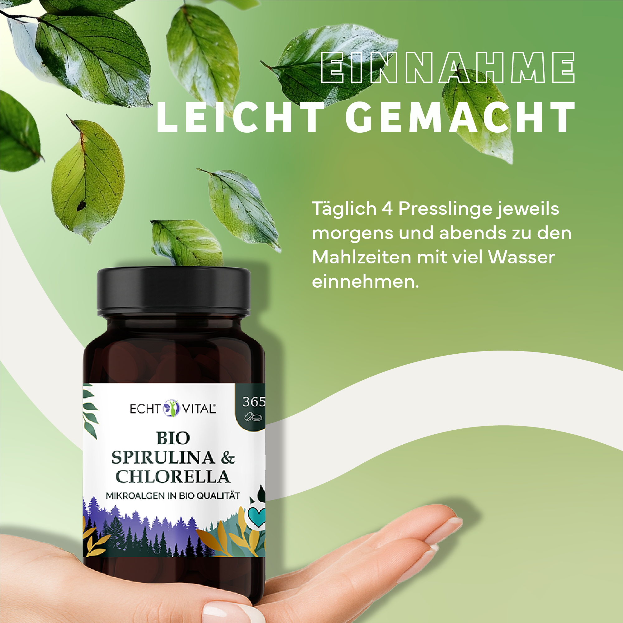 Kräuter, Werbung, Blatt, Sirup, Kräuterig, Kräuter, Werbung, Astragalus, Blatt