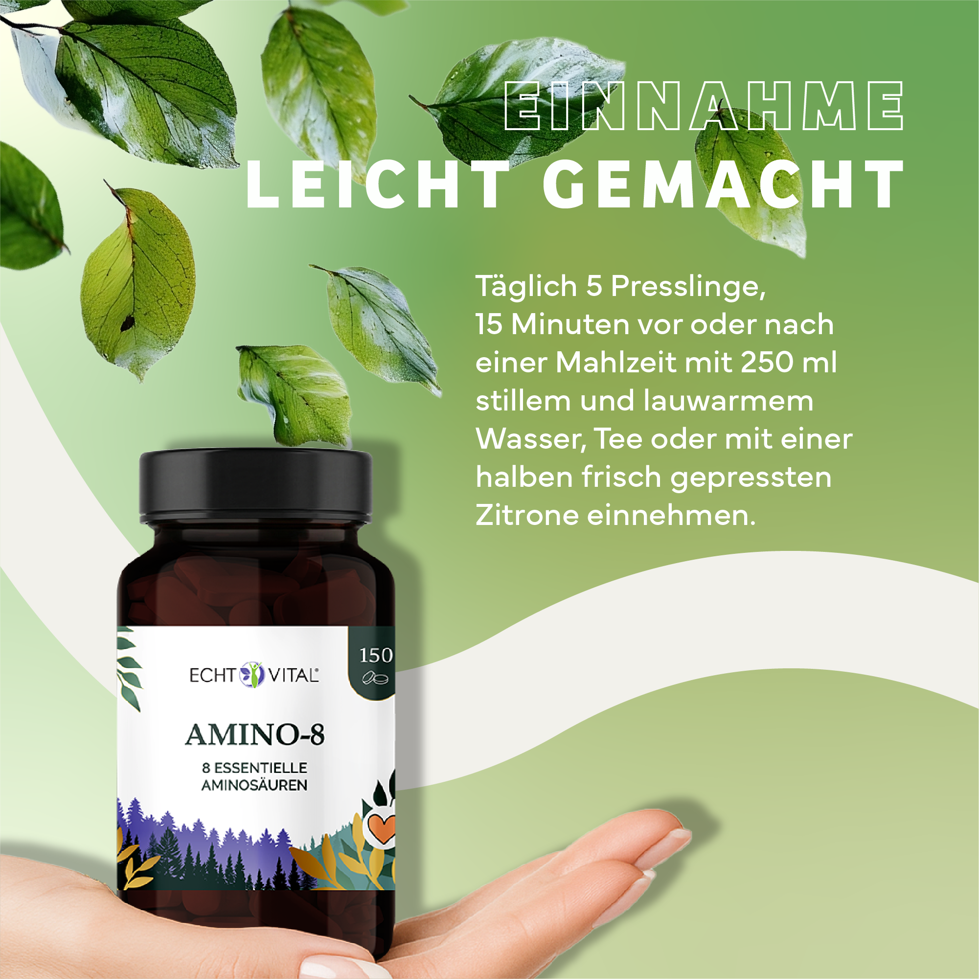 Kräuterig, Kräuter, Werbung, Blatt, Plakat, Kräuterig, Kräuter, Werbung, Blatt, Plakat, Kräuter, Werbung, Blatt, Sirup, Kräuterig, Kräuter, Werbung, Blatt, Plakat
