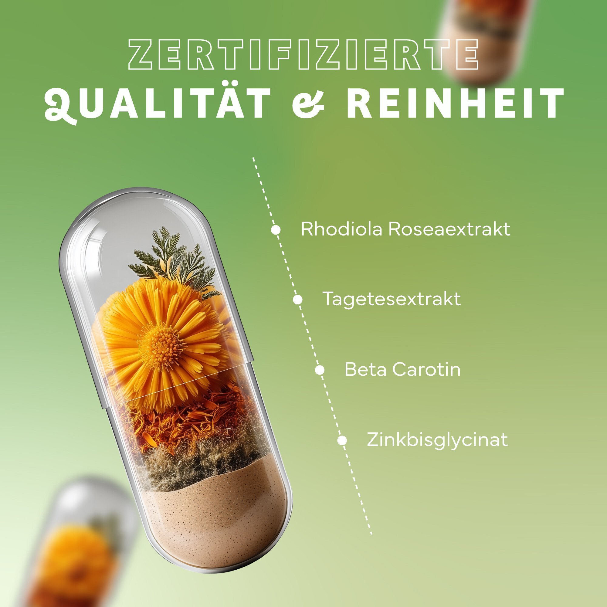 Kräuter, Pflanze, Werbung, Plakat