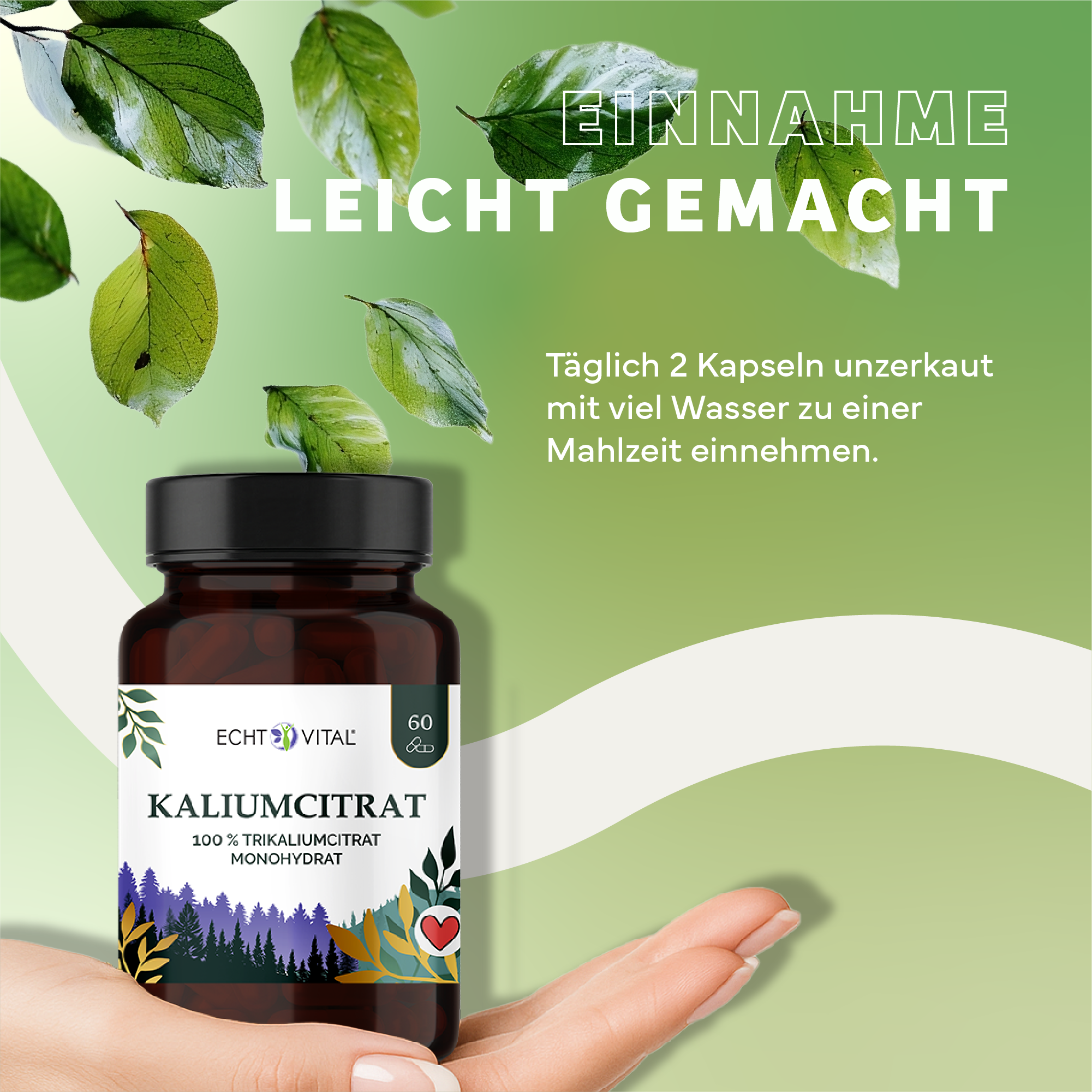 Kräuter, Werbung, Sirup, Plakat, Kräuterig, Kräuter, Werbung, Blatt, Astragalus
