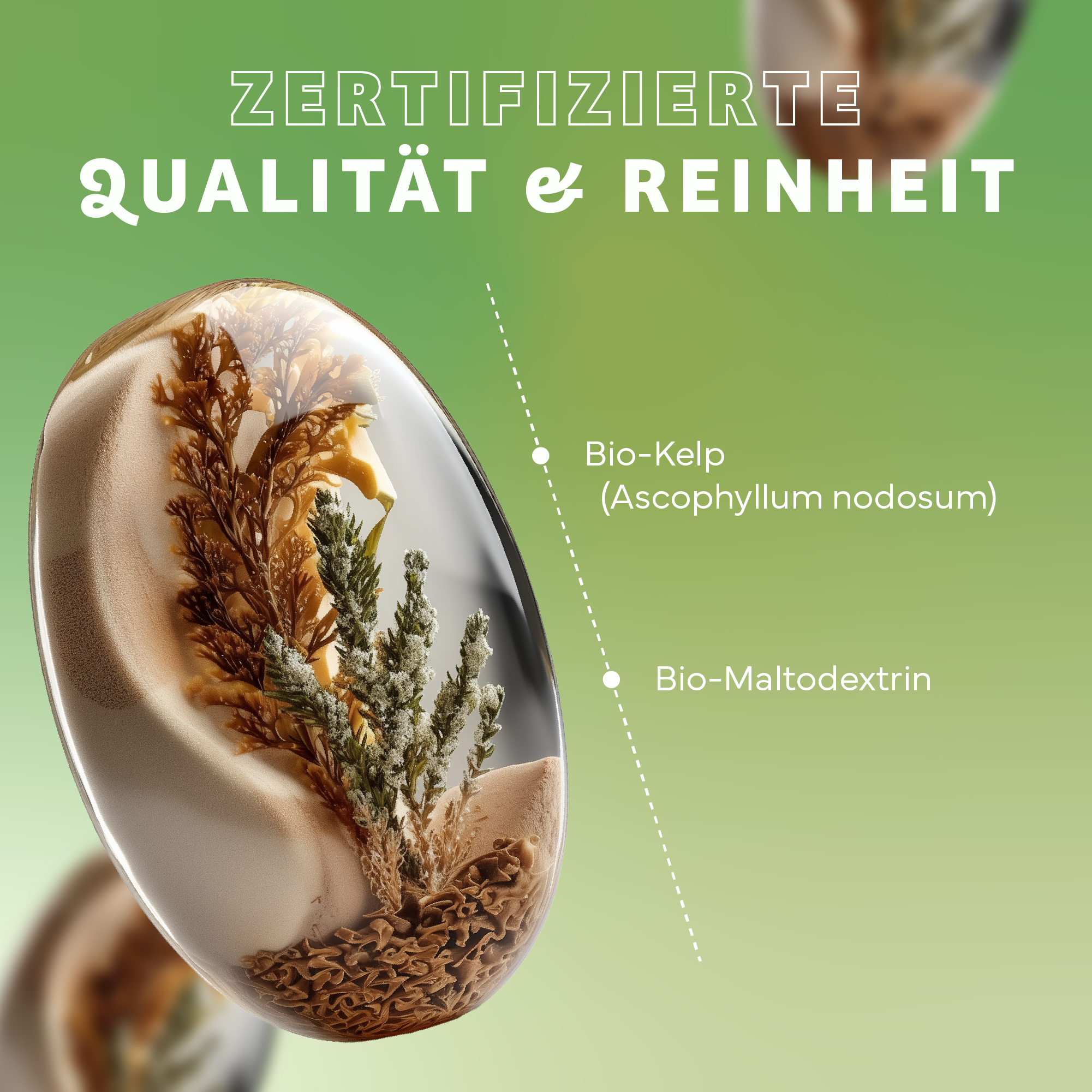 Werbung, Kräuterig, Pflanze, Plakat, Teller, Werbung, Kräuterig, Pflanze, Teller, Plakat, Werbung, Kräuterig, Pflanze, Teller, Plakat, Werbung, Kräuterig, Pflanze, Teller, Plakat