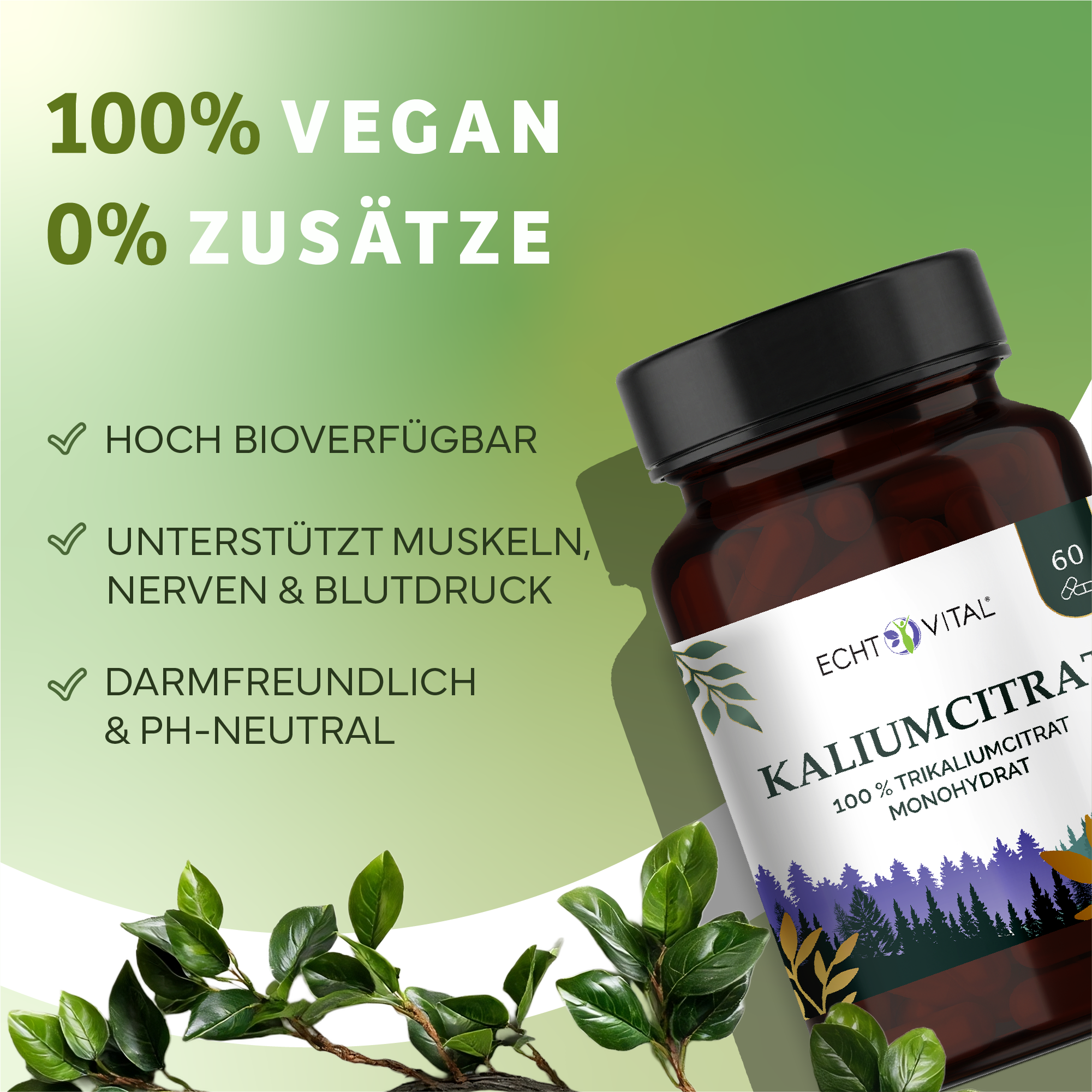 Kräuter, Werbung, Astragalus, Sirup, Kräuterig, Kräuter, Pflanze, Astragalus, Blume