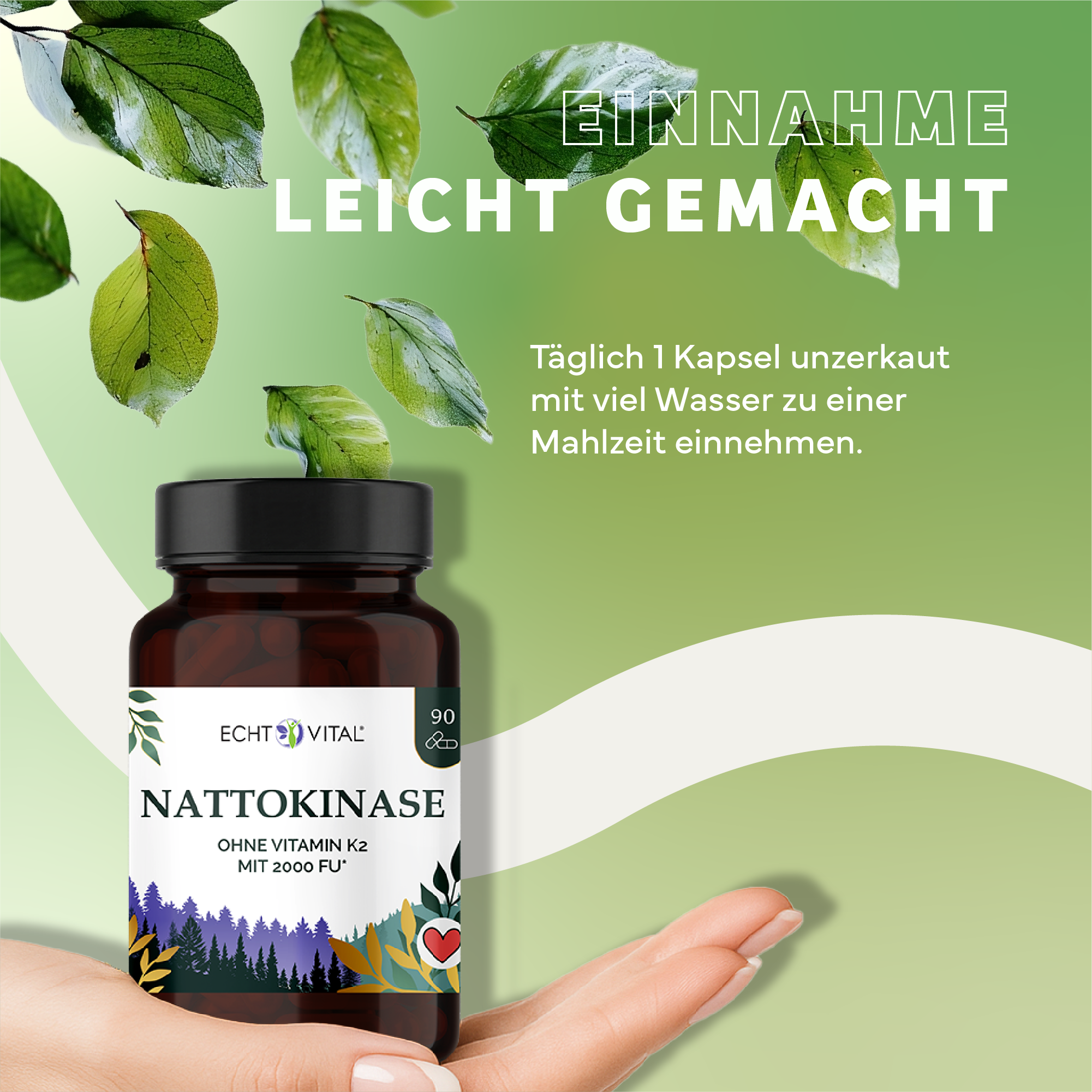 Kräuterig, Kräuter, Werbung, Blatt, Plakat