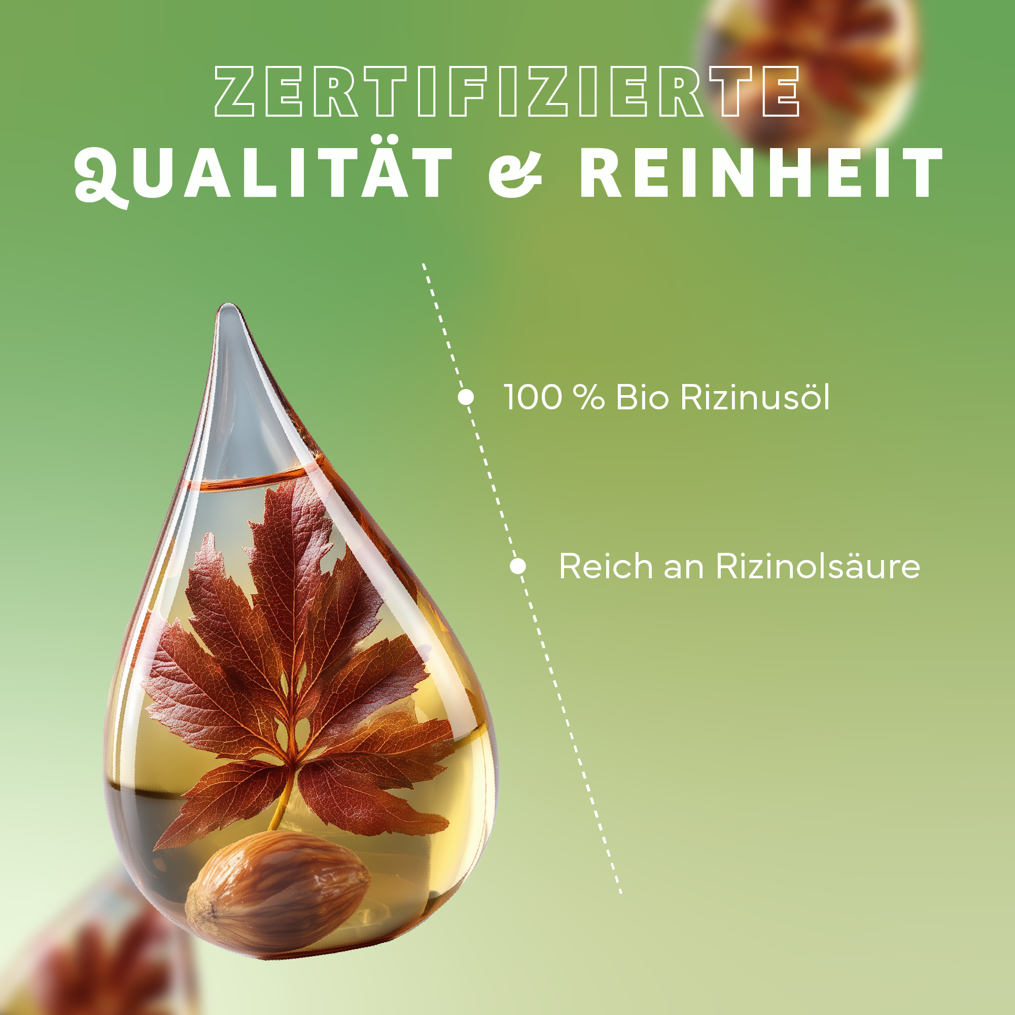 Kräuter, Blatt, Werbung, Plakat, Glas, Kräuterig, Blatt, Werbung, Plakat, Tröpfchen