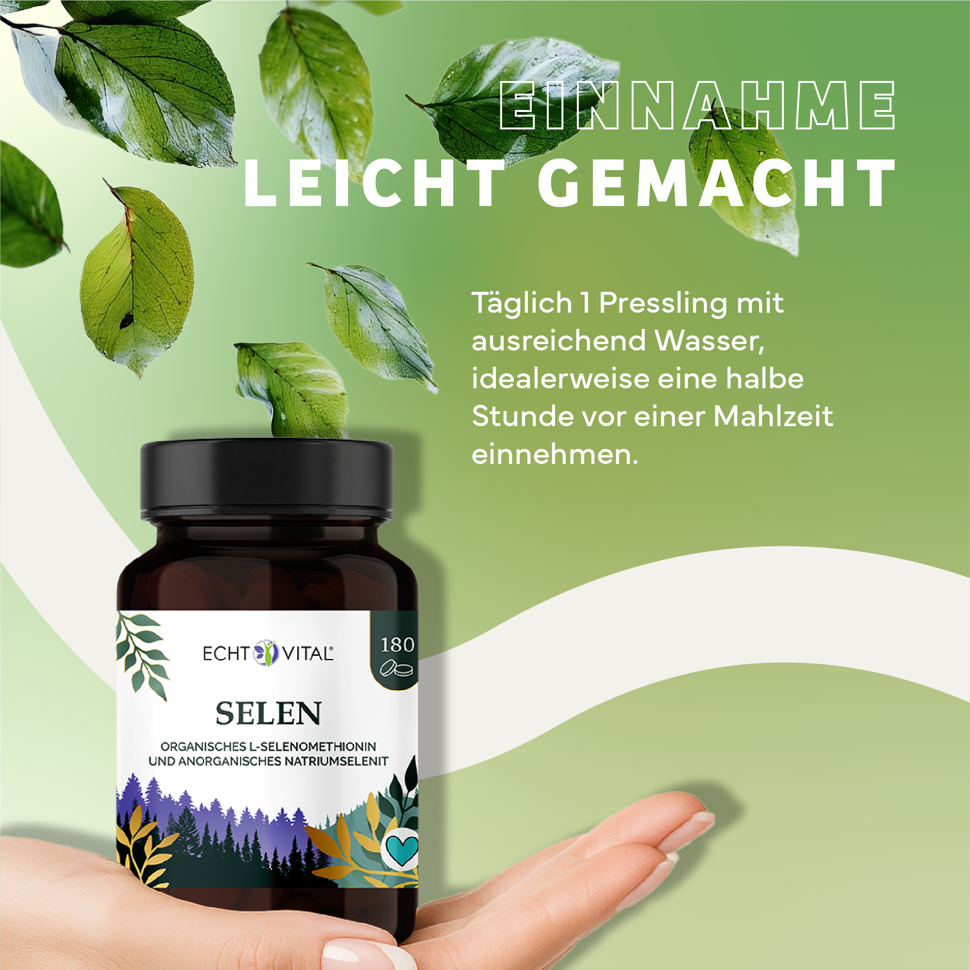 Kräuterig, Kräuter, Werbung, Plakat, Astragalus