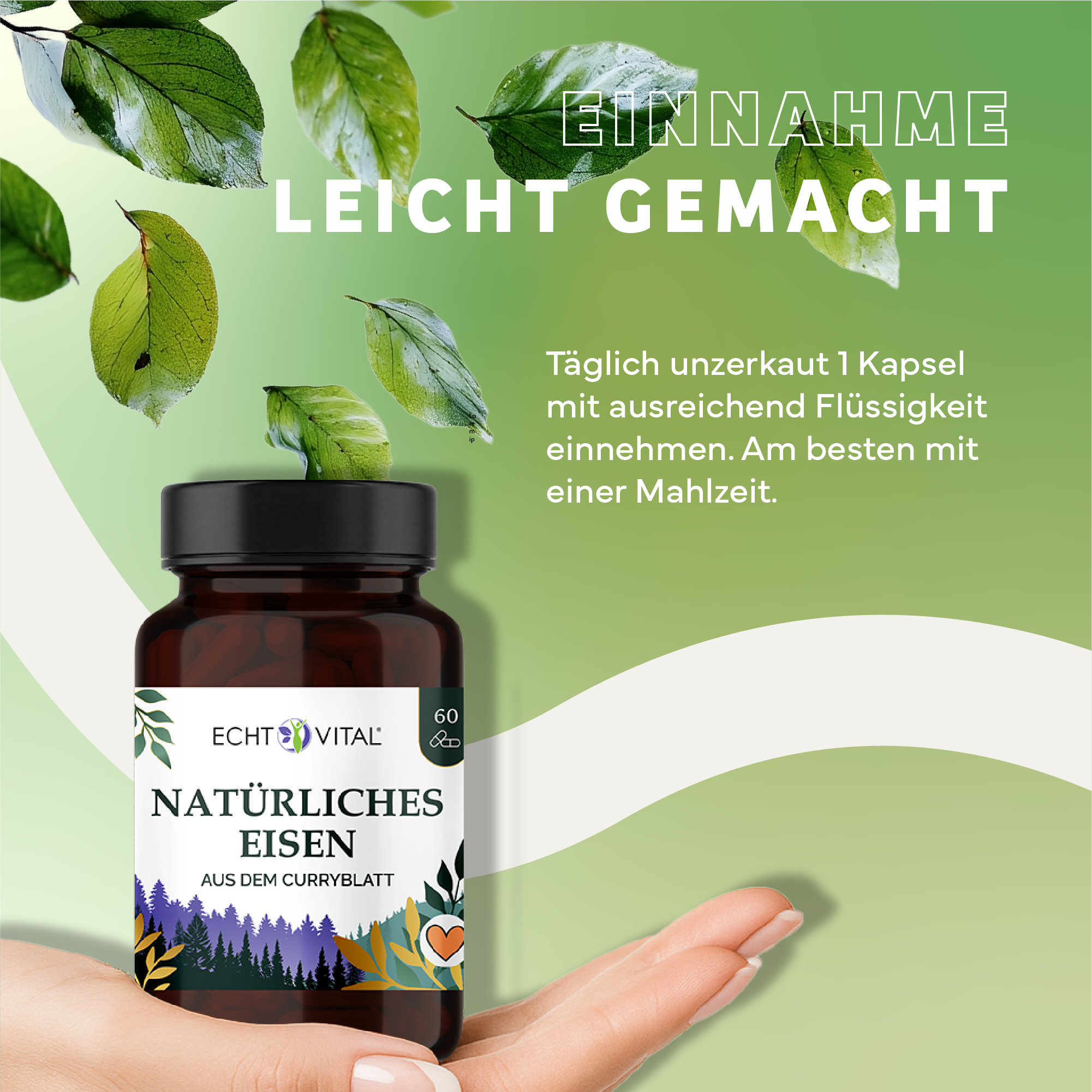 Kräuter, Werbung, Sirup, Plakat, Kräuterig, Kräuter, Werbung, Blatt, Plakat